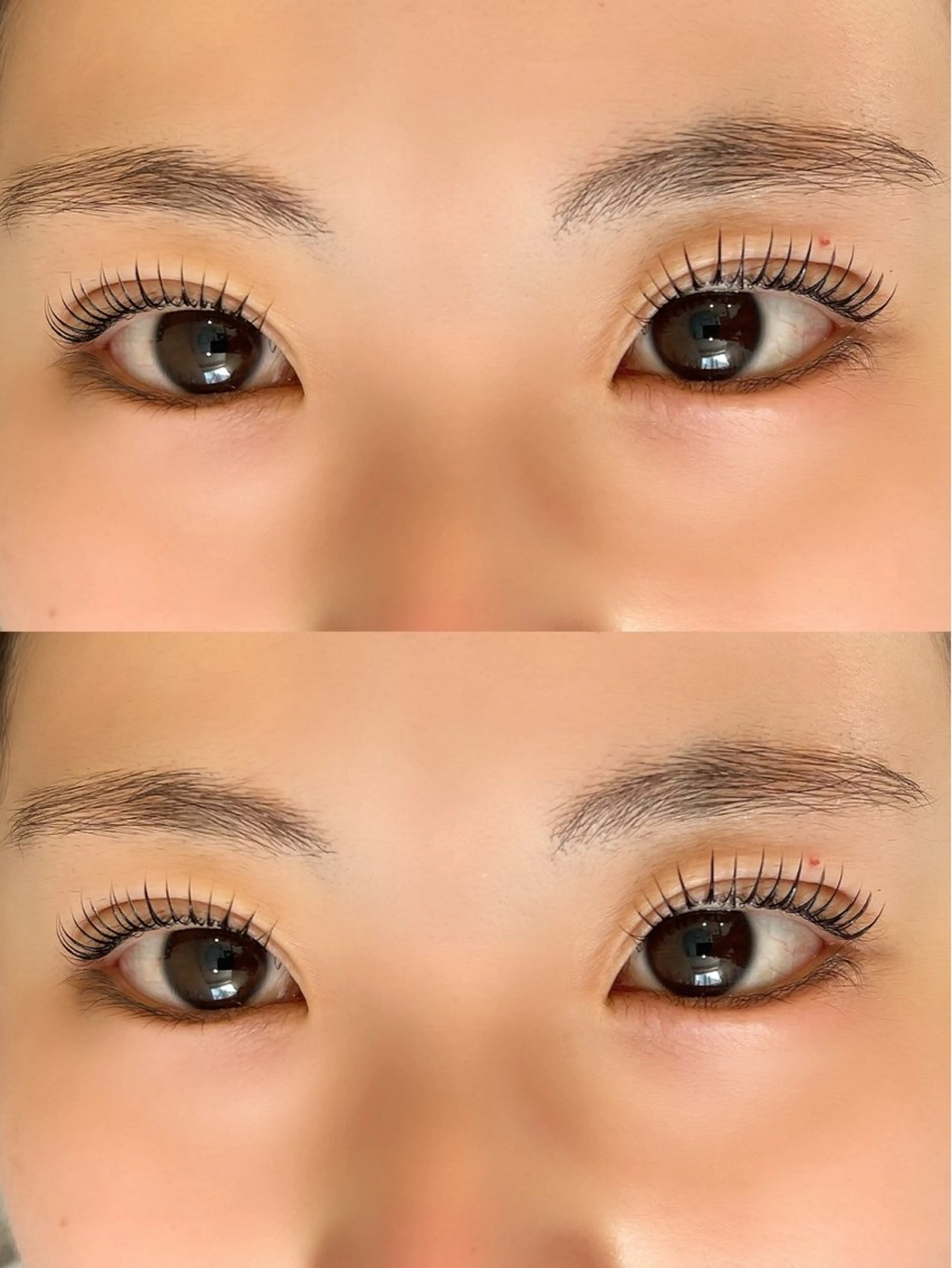 🌼ラッシュリフト🌼(トリートメント・美容液付き)の写真