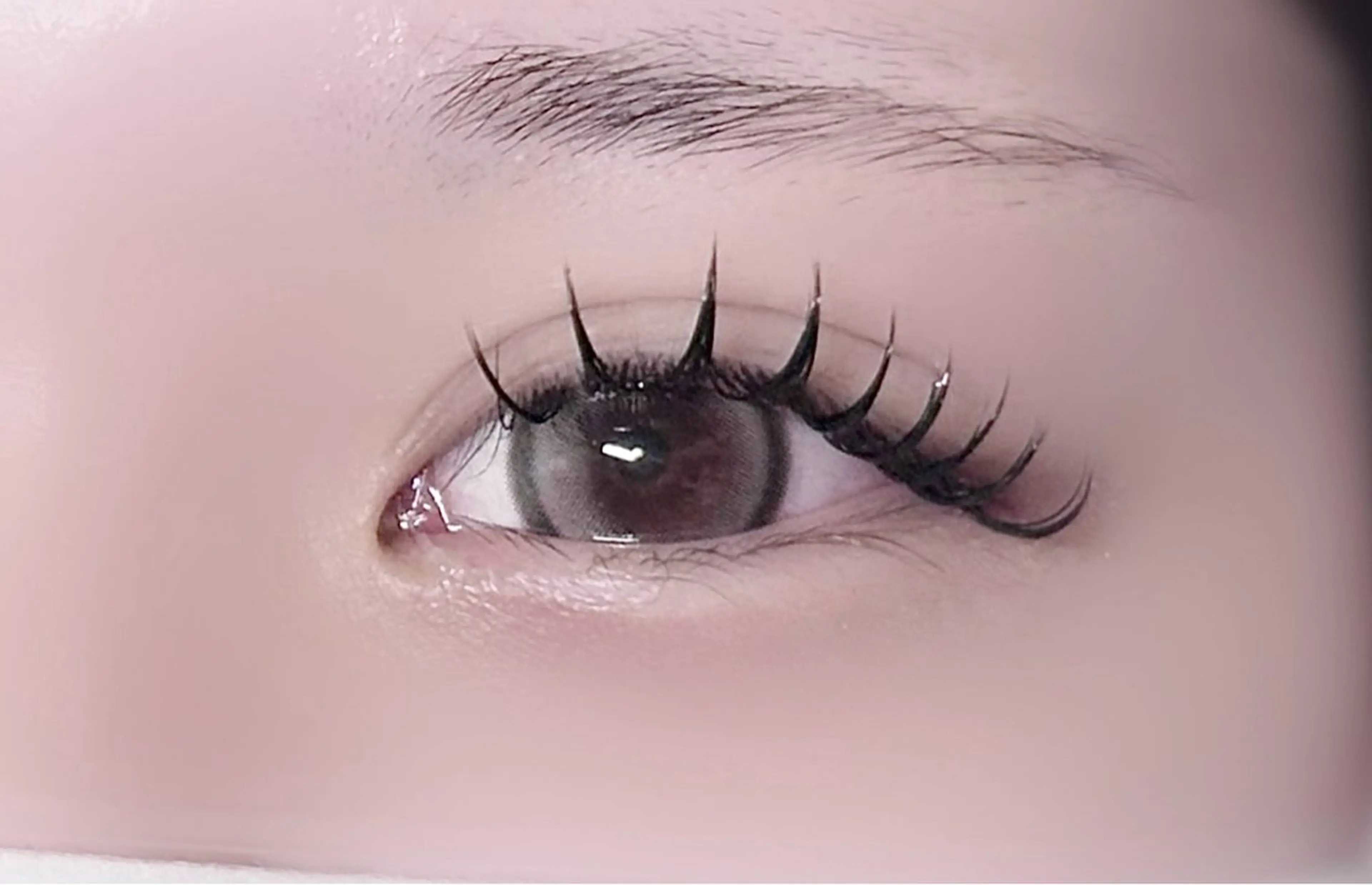 🎀 Jr eyelist 🎀マツエク付け放題160本まで🩵(オフ無し)の写真