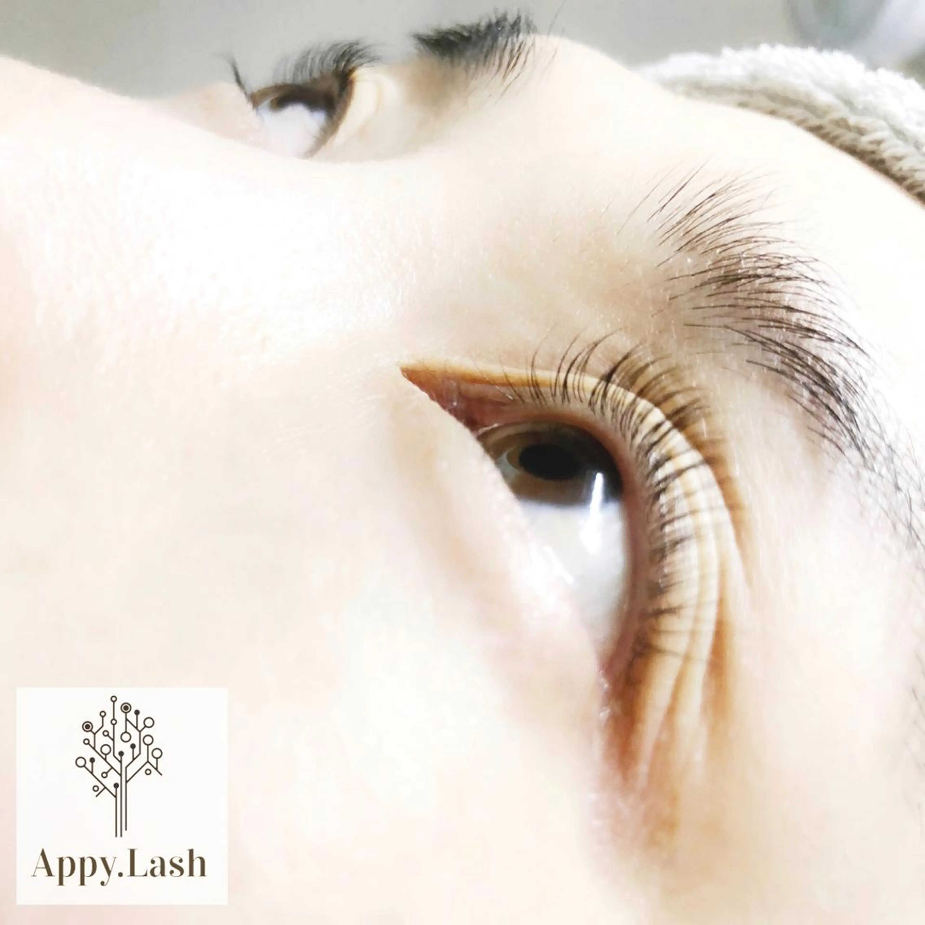 マツエク・マツパ まつげと眉の専門店 Appy.Lashのマツエク・マツパデザイン