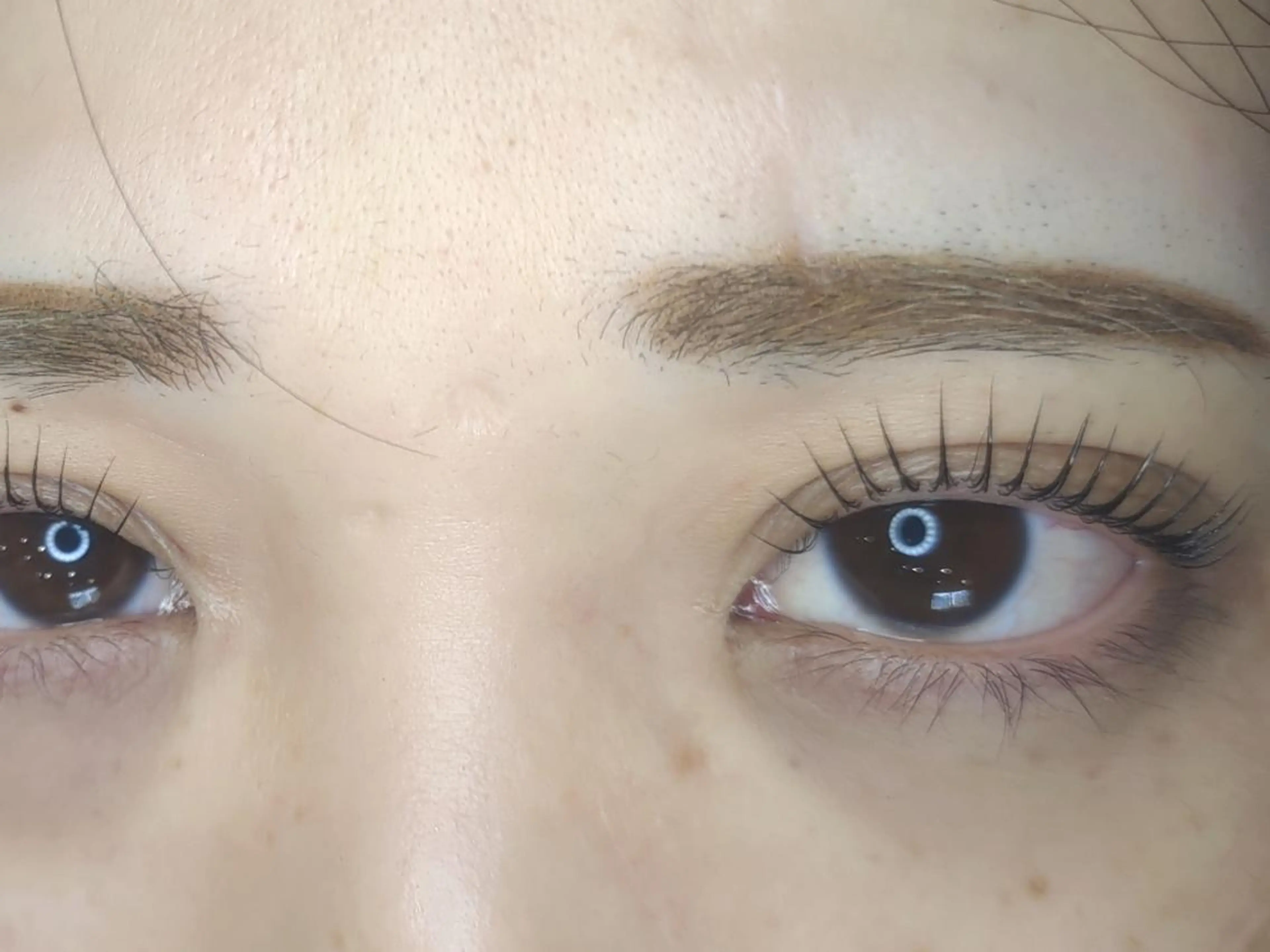 マツエク・マツパ パリジェンヌラッシュリフト マツパ STEEL所属・【STEEL】🦄 MASHIMA🦄のマツエク・マツパデザイン