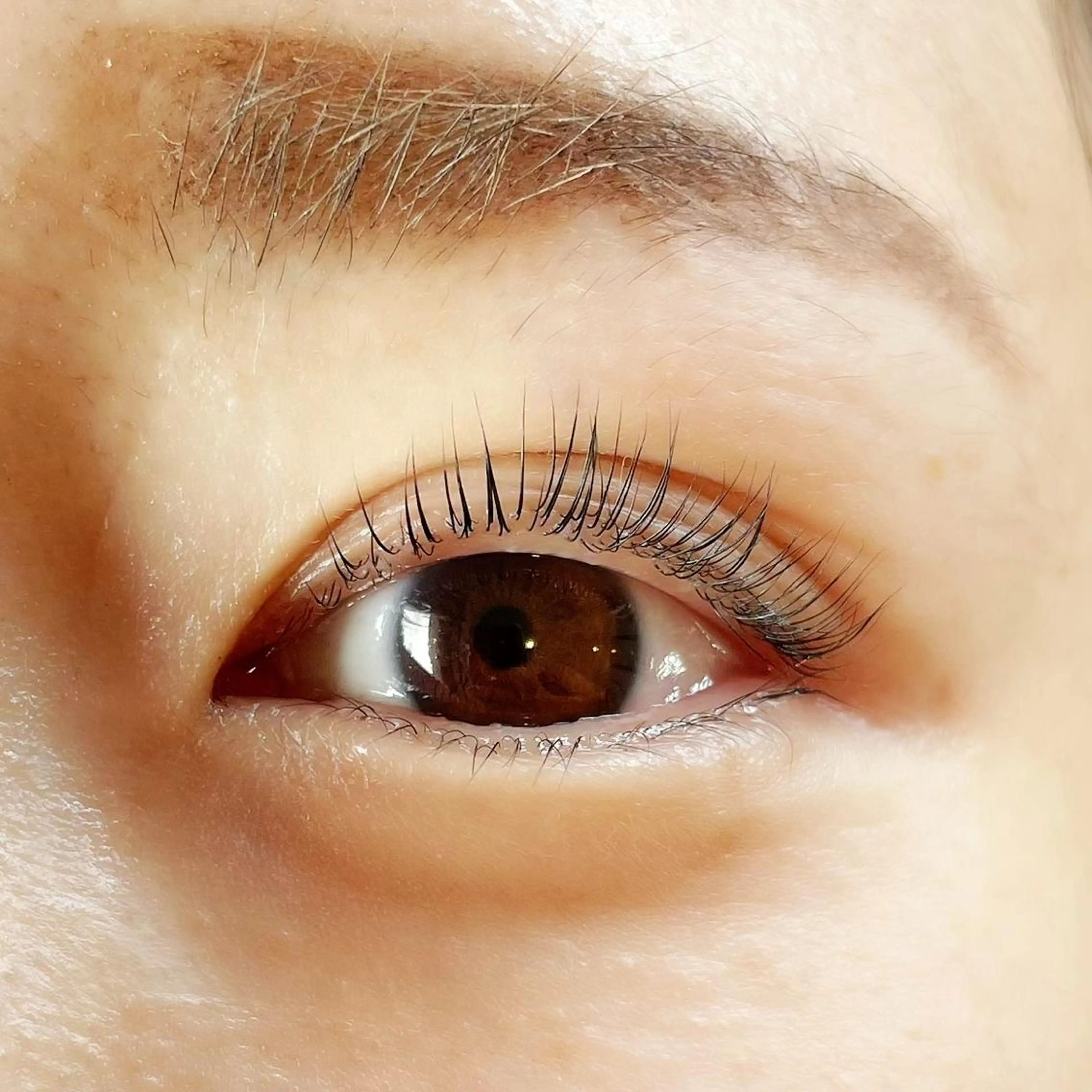 マツエク・マツパ ナチュラル マツパ 当日◎中目黒 まつげまゆげサロンのマツエク・マツパデザイン