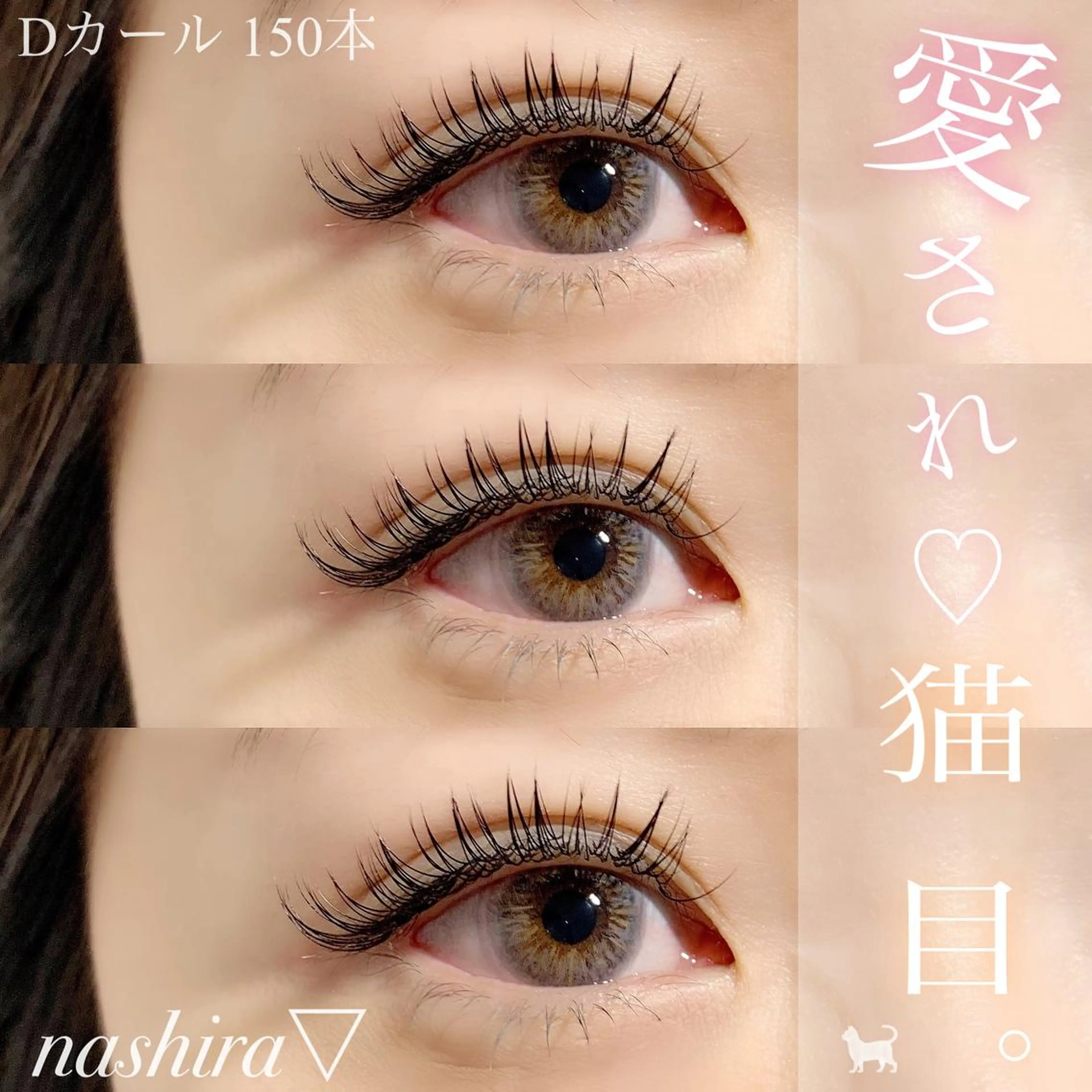 マツエク・マツパ Dカール 目尻長め マツエク nashira -ナシラ- 恵比寿のマツエク・マツパデザイン