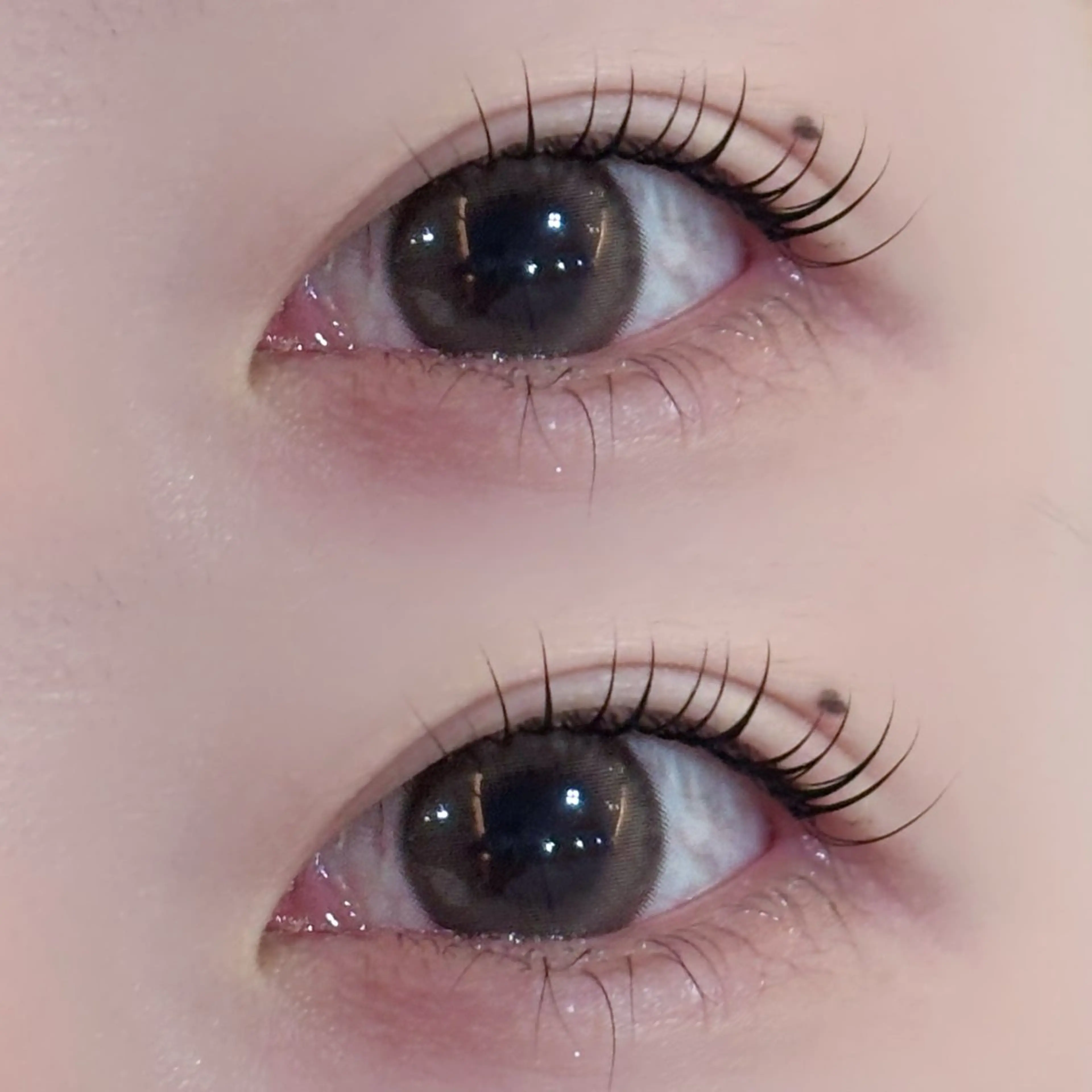 マツエク・マツパ リュープリエ所属・lieu plie riinaの眉毛・アイブロウイメージ