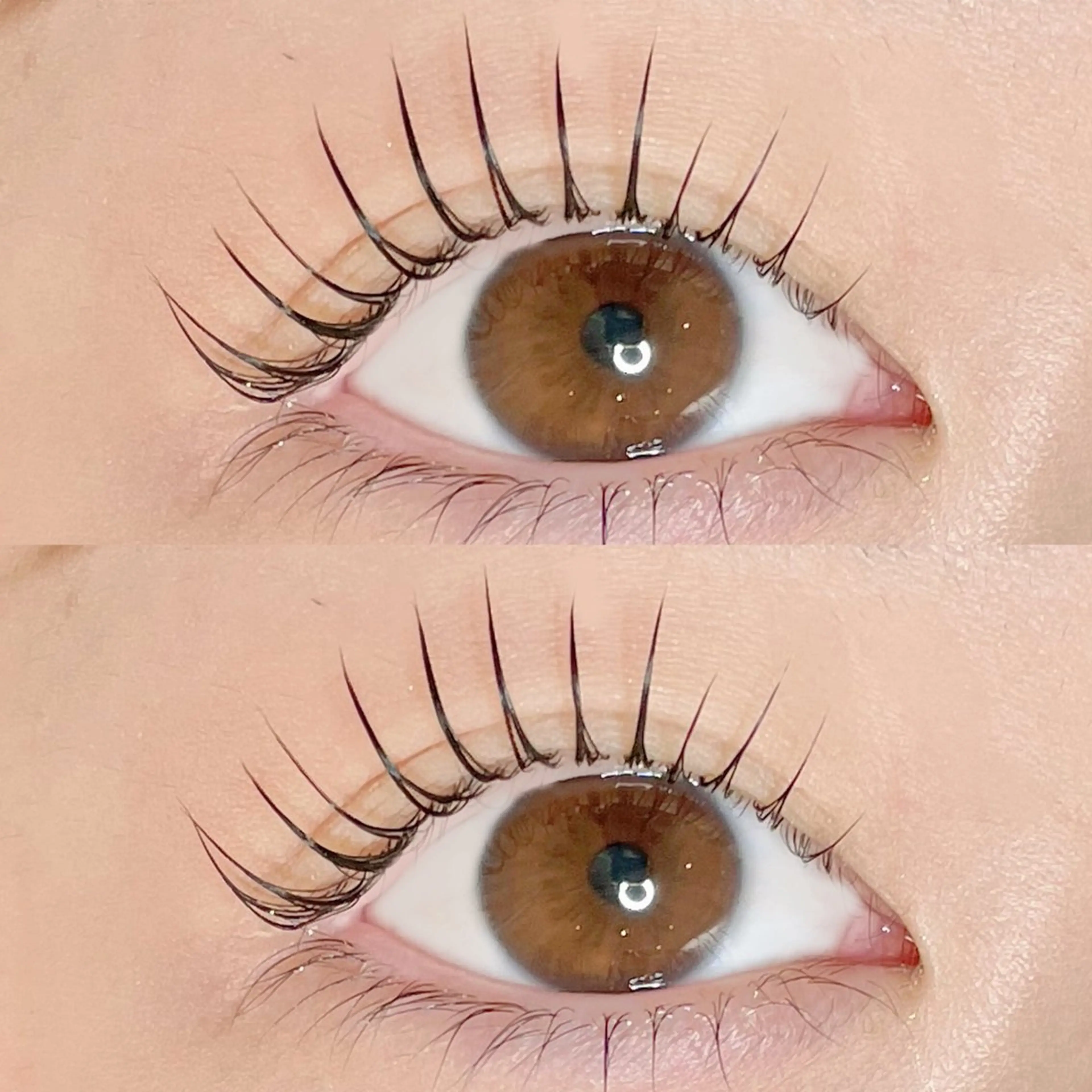 マツエク・マツパ マツパ AYLASH🧡 猪又のマツエク・マツパデザイン