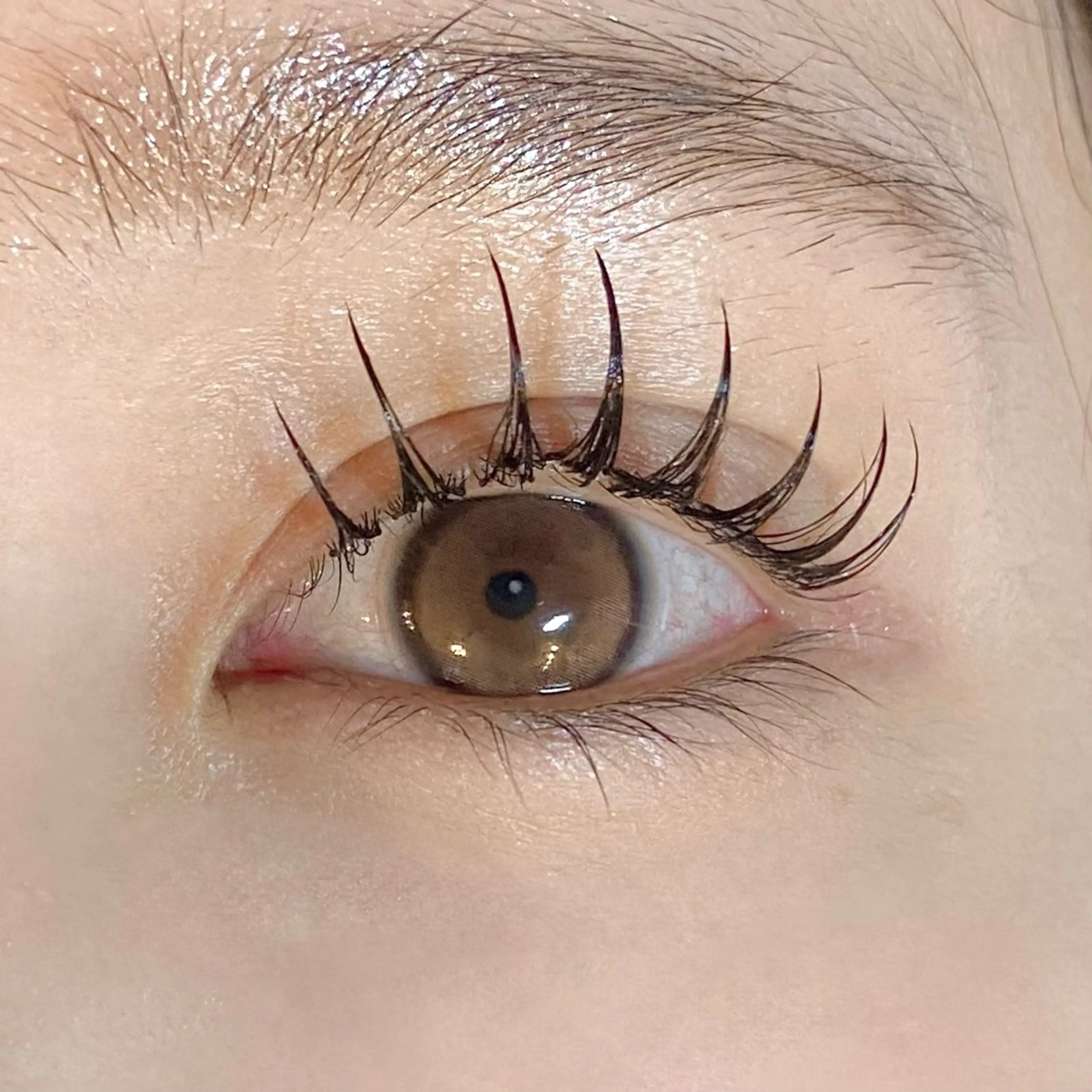 ✨最新技術✨【&Healthy】アンドヘルシー🫧　LEDフラットラッシュ80～140本までの写真