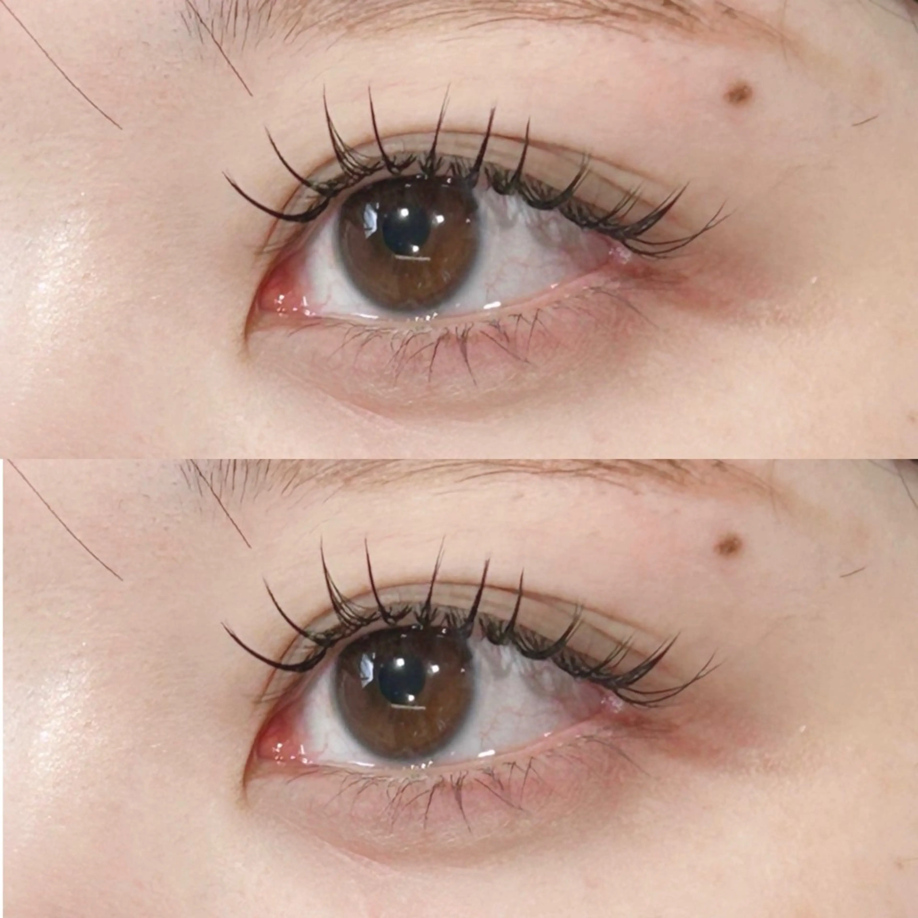 【数量限定‼️束感コーティング剤プレゼント🎁】束感ナチュラルマツエク(100本)👀の写真