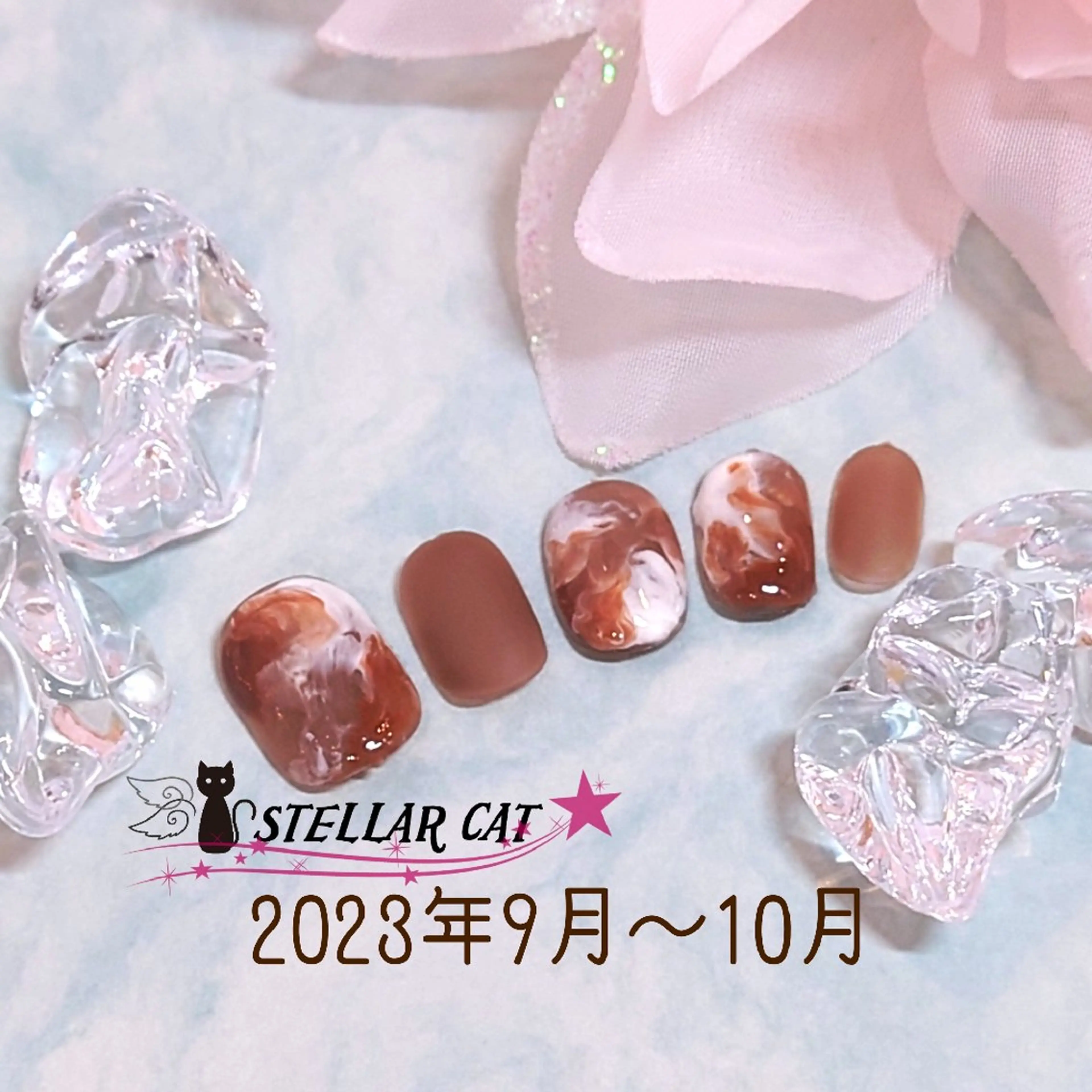 季節の定額デザイン　オフなしの写真