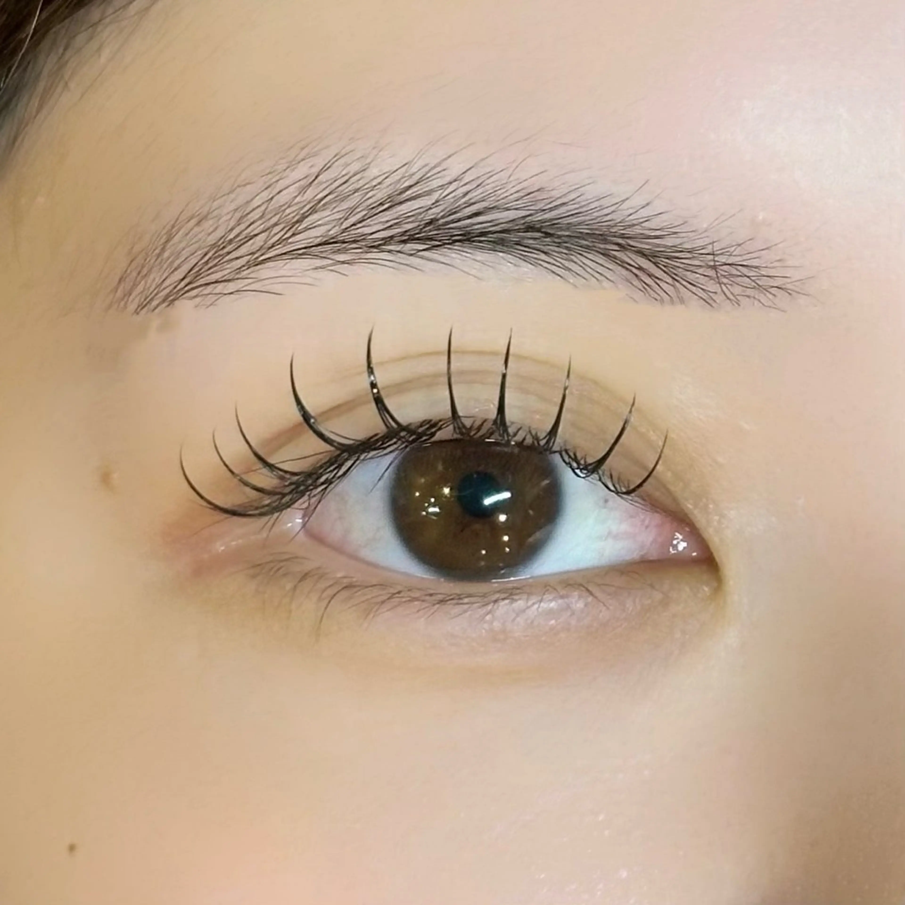 【人気No.1👑】マツエク100本の写真