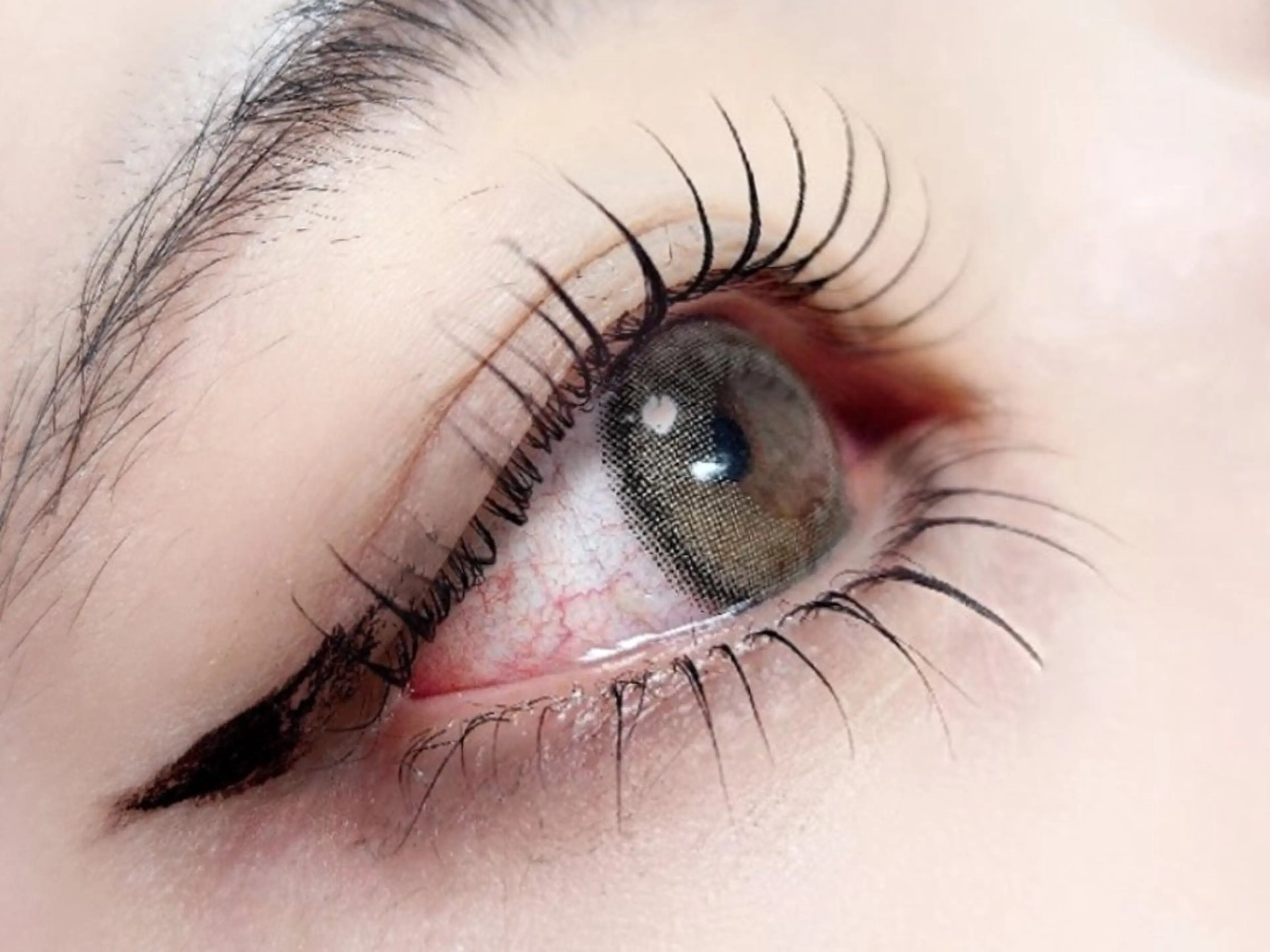 【セット割】上下パリジェンヌラッシュリフト★コーティング付の写真