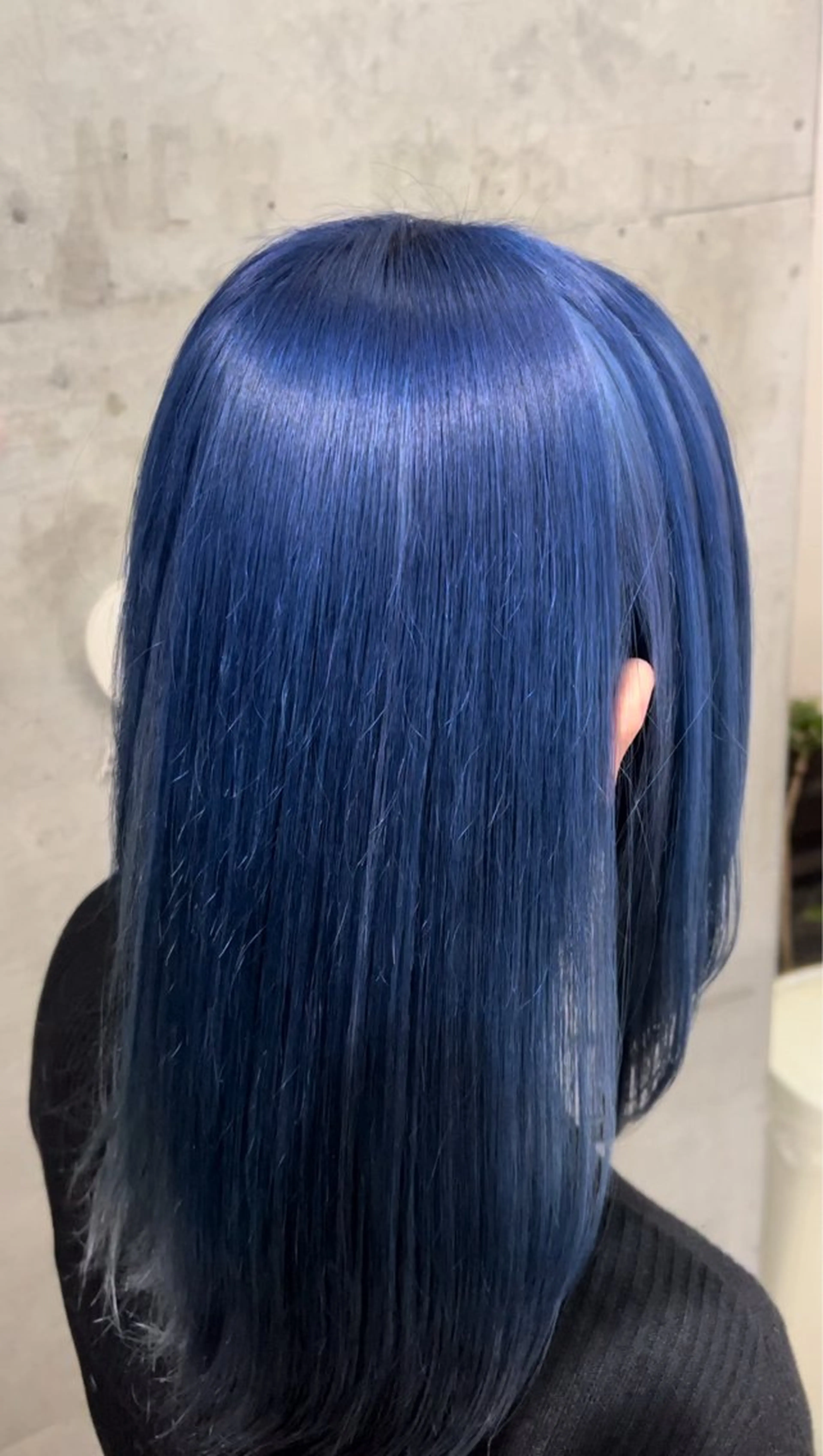 ダブルカラー     寒色❄️【ブリーチ+オンカラー or ブリーチリタッチ+オンカラー】の写真