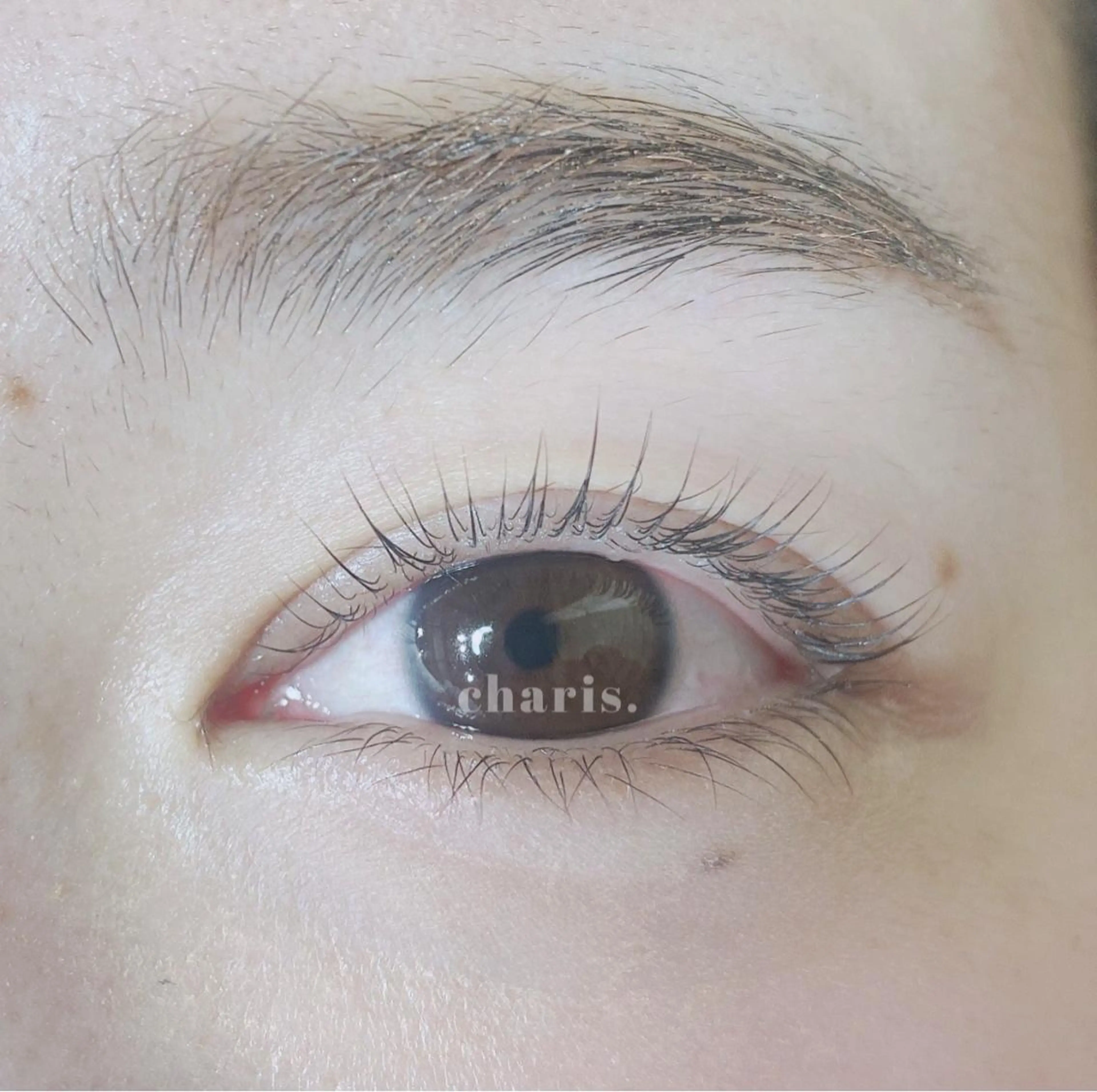 マツエク・マツパ パリジェンヌラッシュリフト MARY所属・Ｔ． AYAKOのマツエク・マツパデザイン