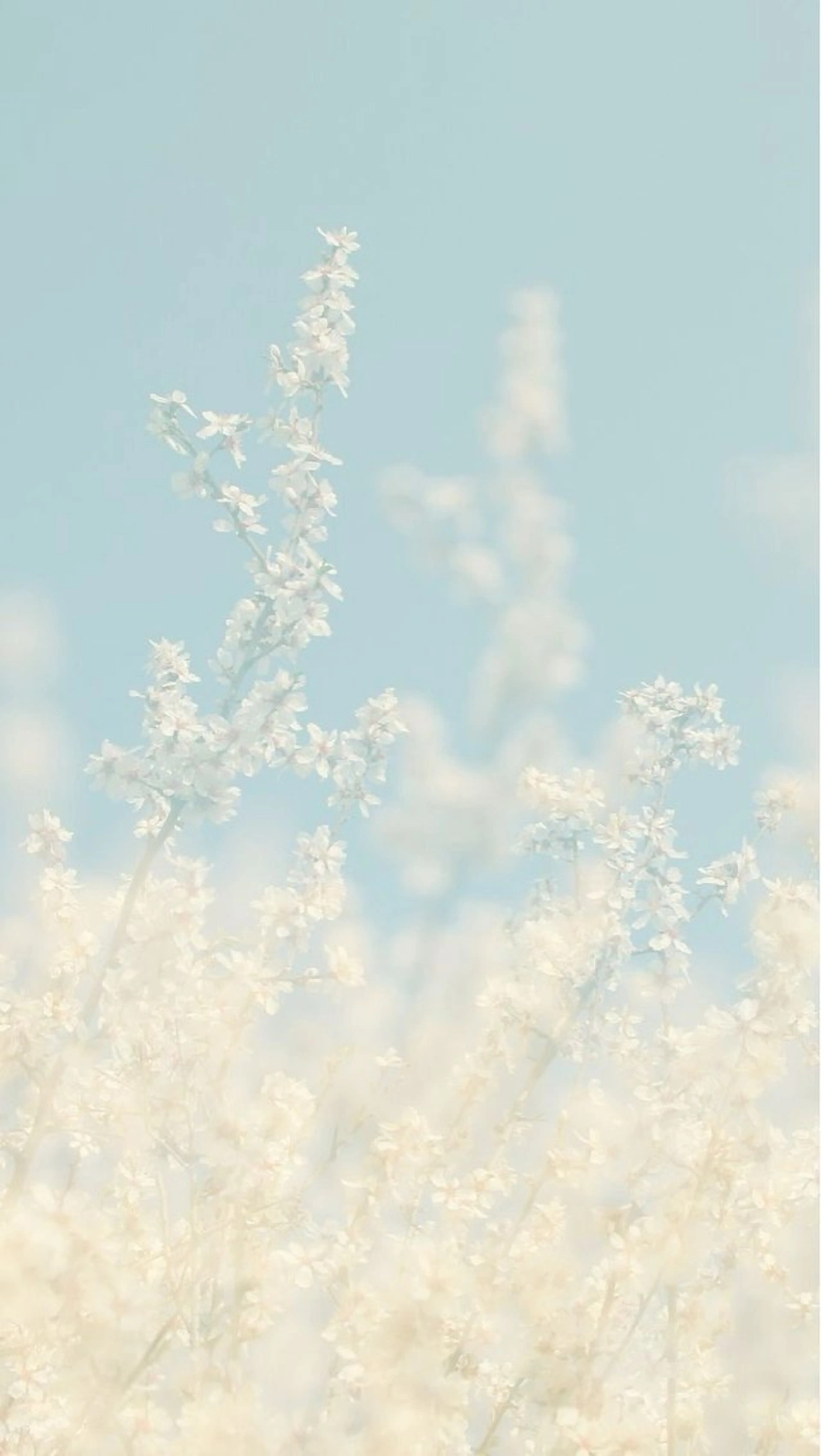 SUNNY 二俣川 yuri🌷のマツエク・マツパデザイン