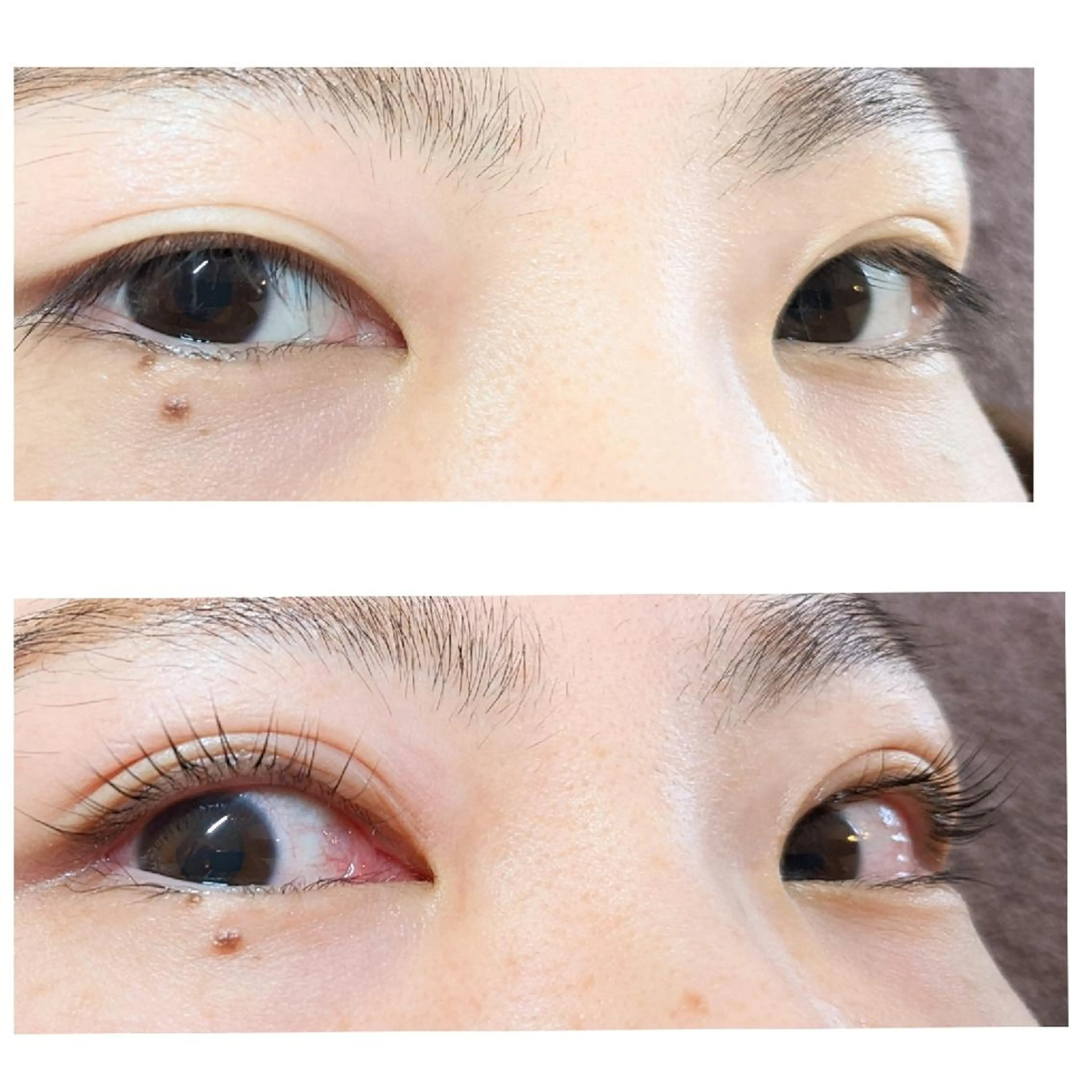 マツエク・マツパ パリジェンヌラッシュリフト chaler 　シャルーレ所属・シャルーレ chalerのマツエク・マツパデザイン