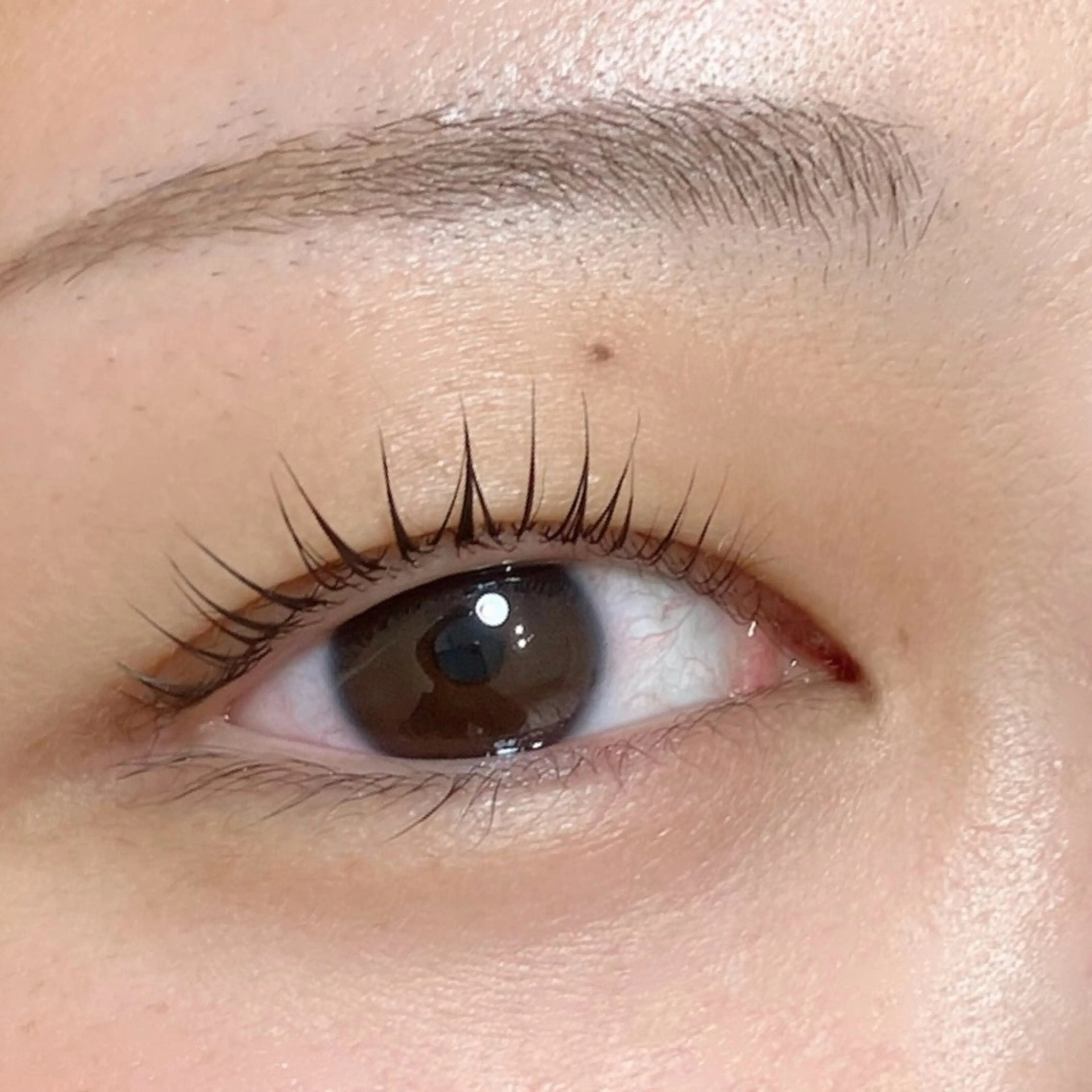 マツエク・マツパ マツパ Li-Fra ERIKOのマツエク・マツパデザイン