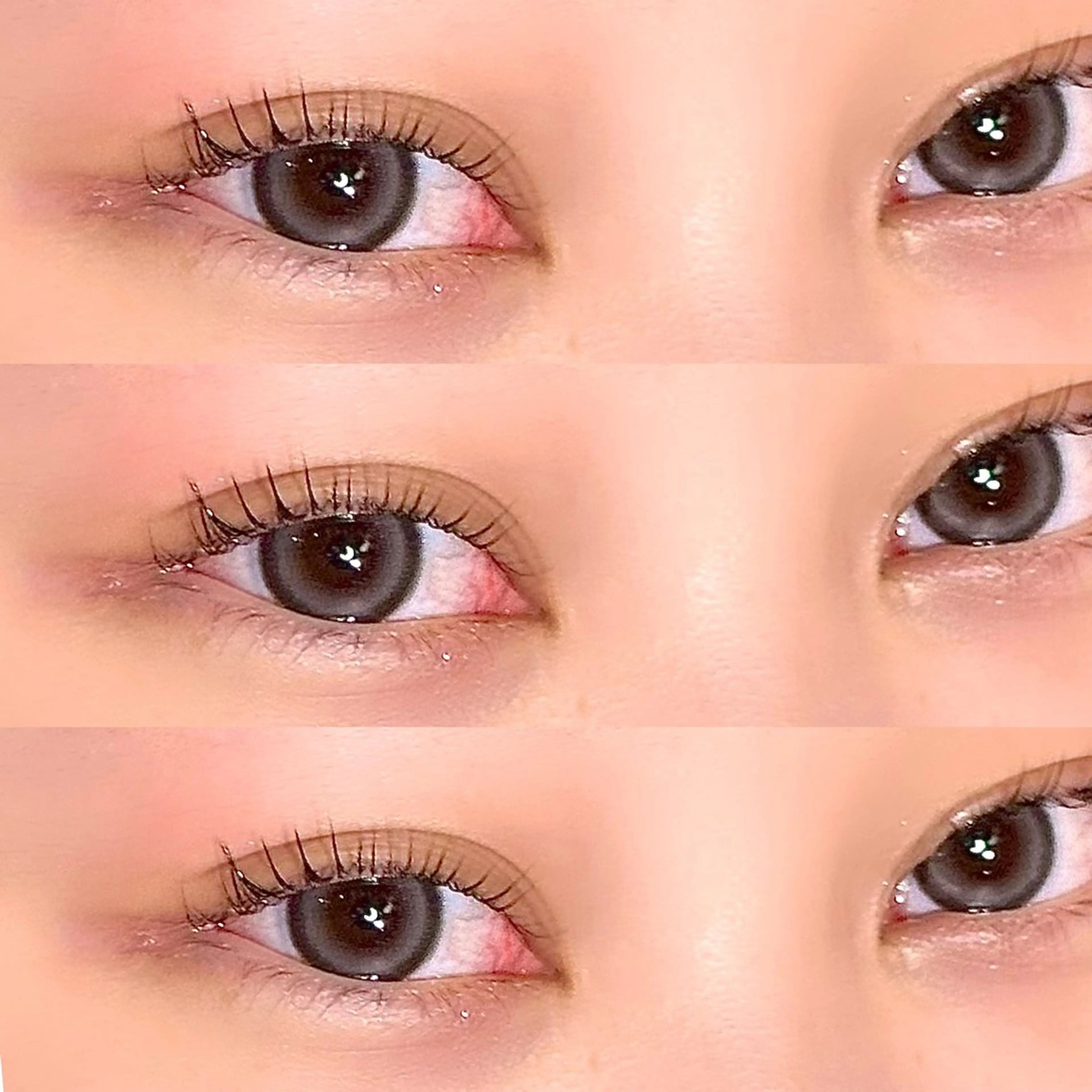 【✨次世代まつげパーマ✨】パリジェンヌラッシュリフト🐈‍⬛［コーティング付］の写真