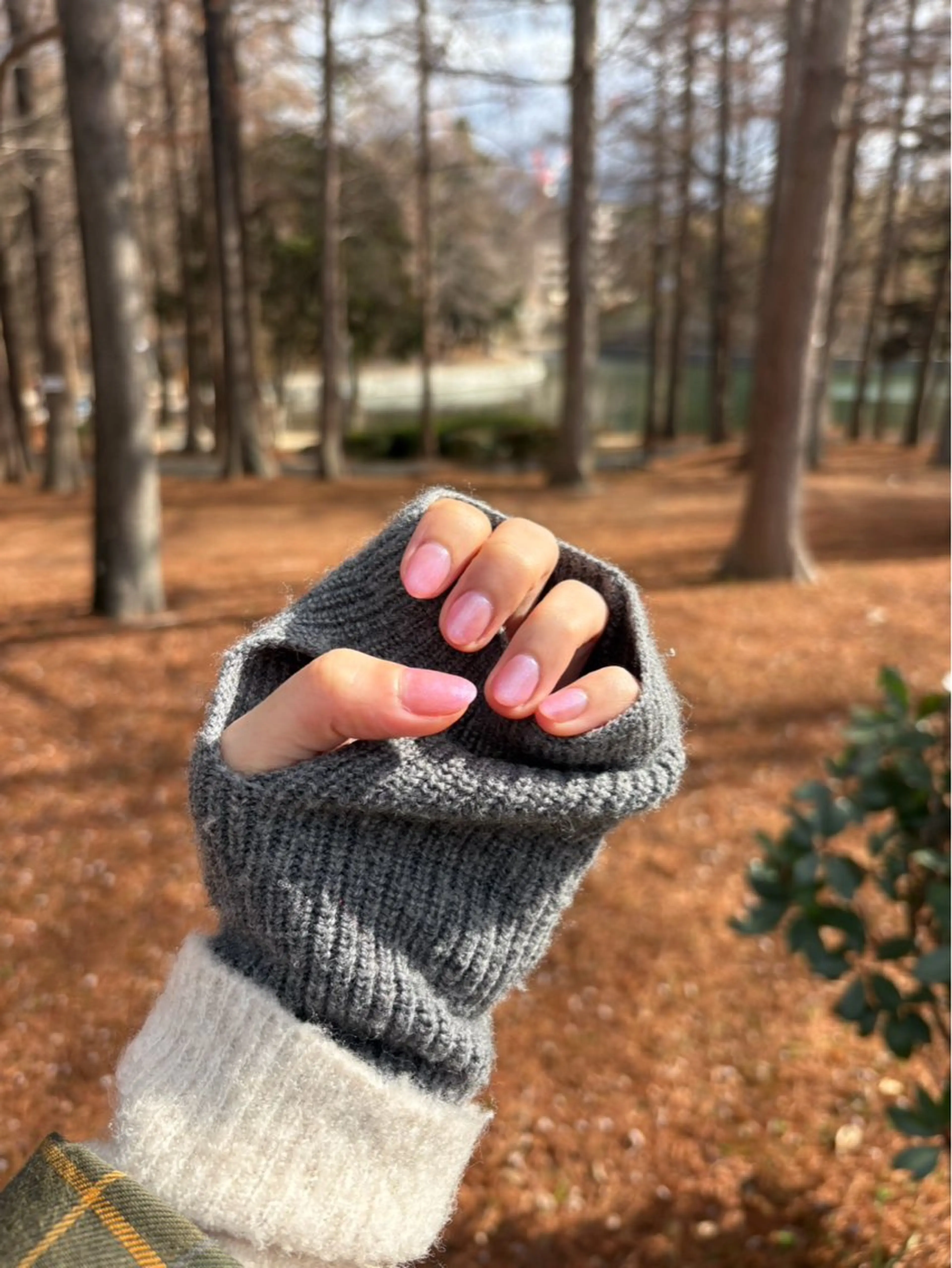 ハンドジェル　ワンカラー　オフ込みの写真