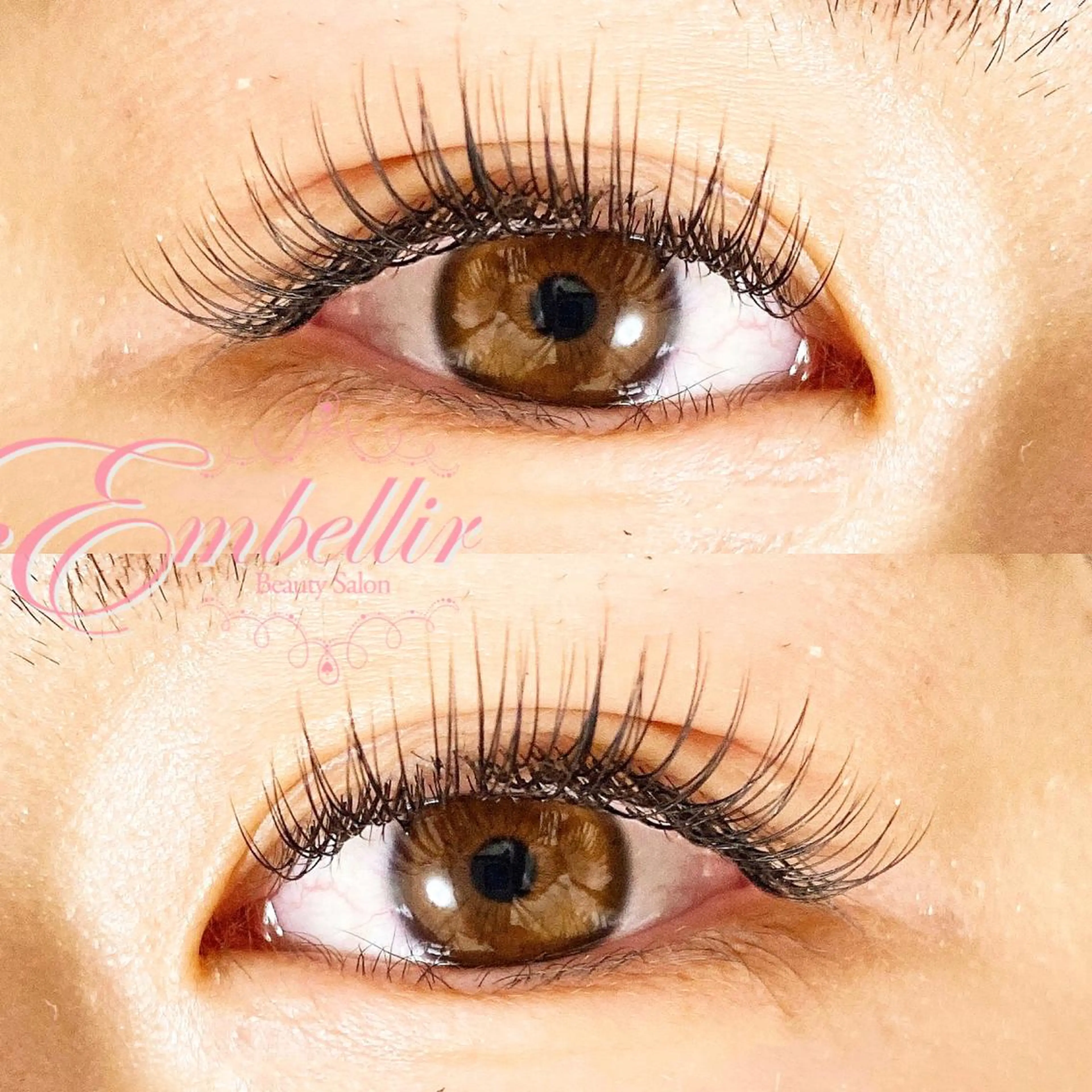 ミニモ限定クーポン🧸シングル100の写真