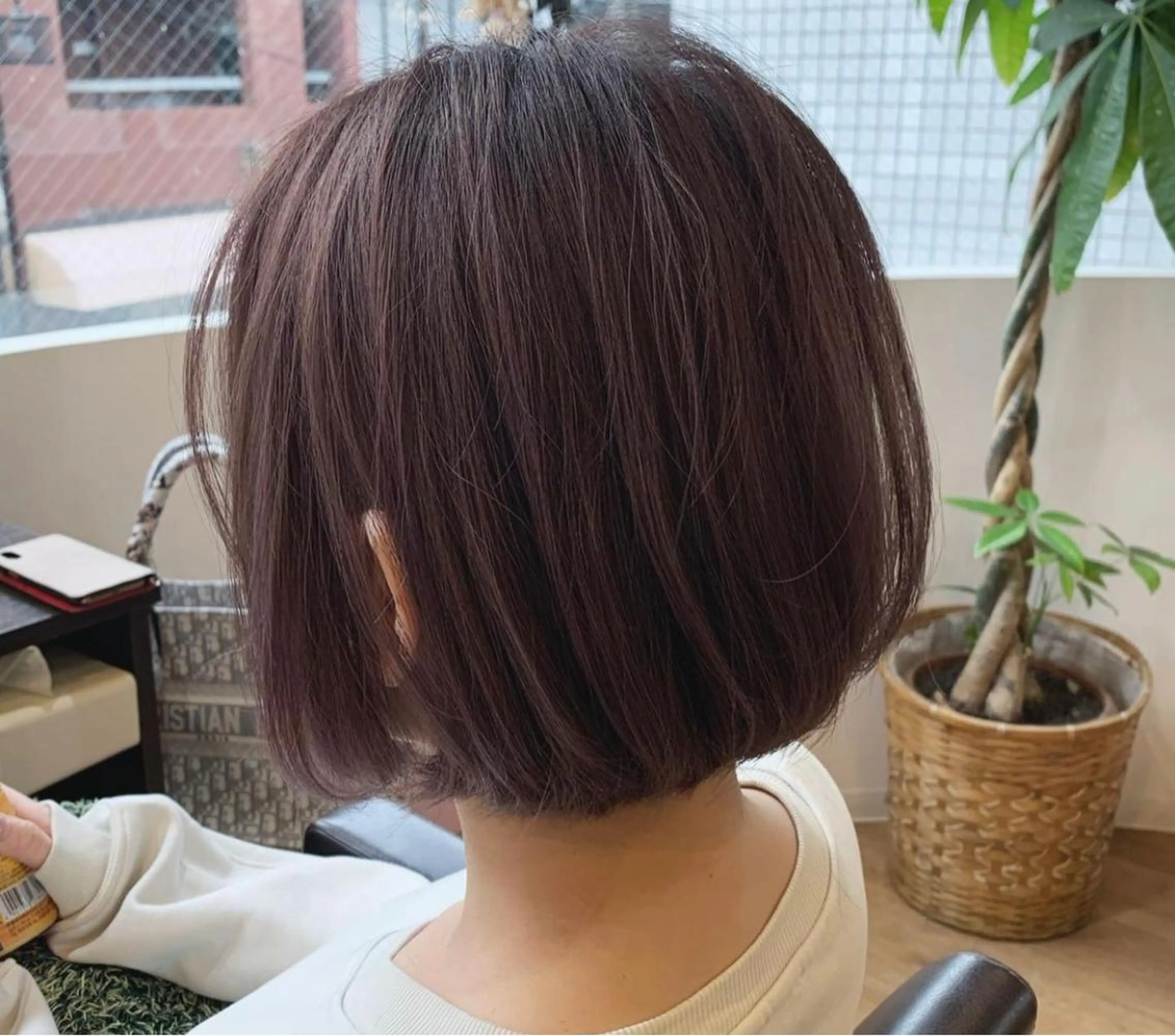 -`👩🏻ショートヘア限定 カット+カラー+トリートメント🛁𓈒 𓏸(レディース限定)の写真