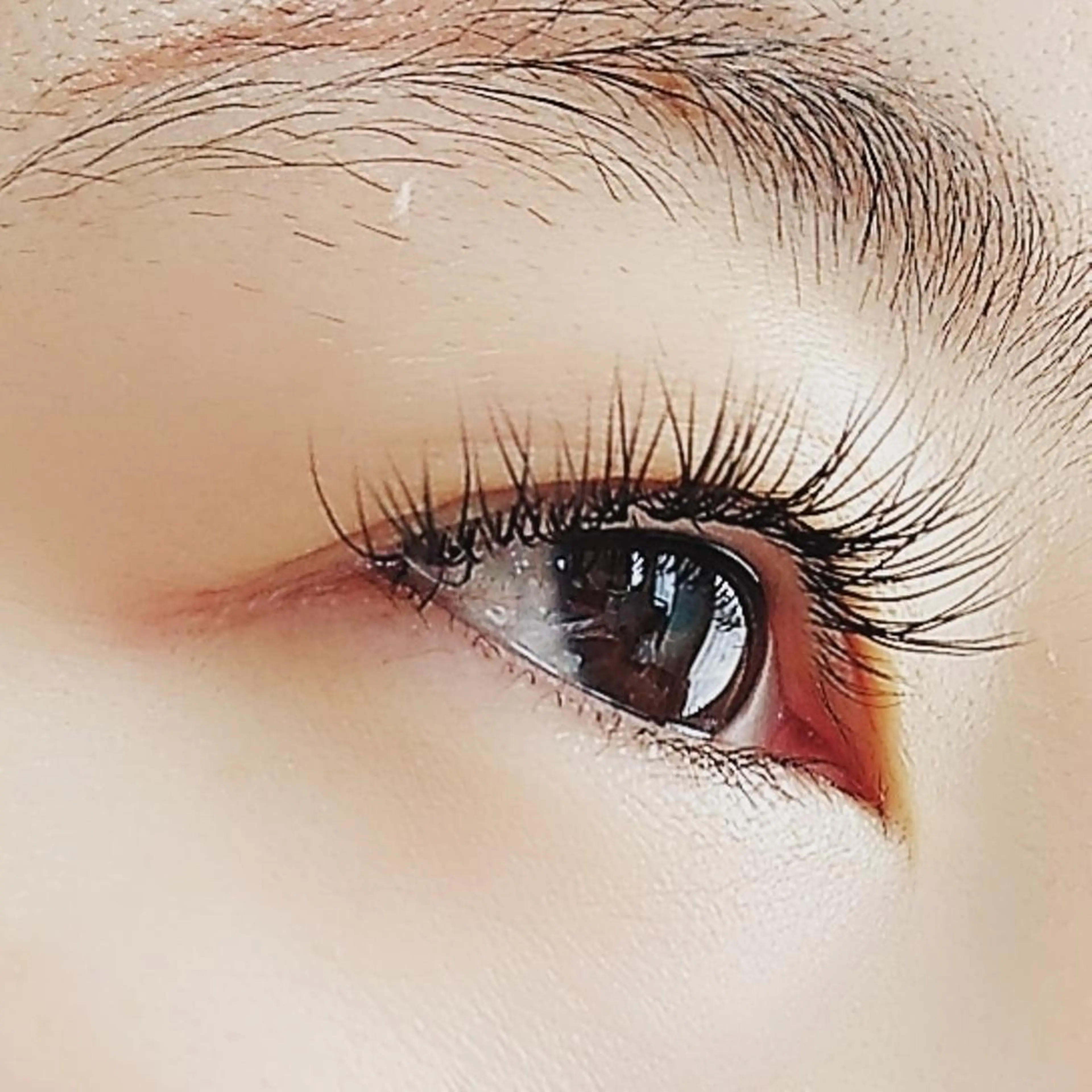 フラットラッシュ120本の写真