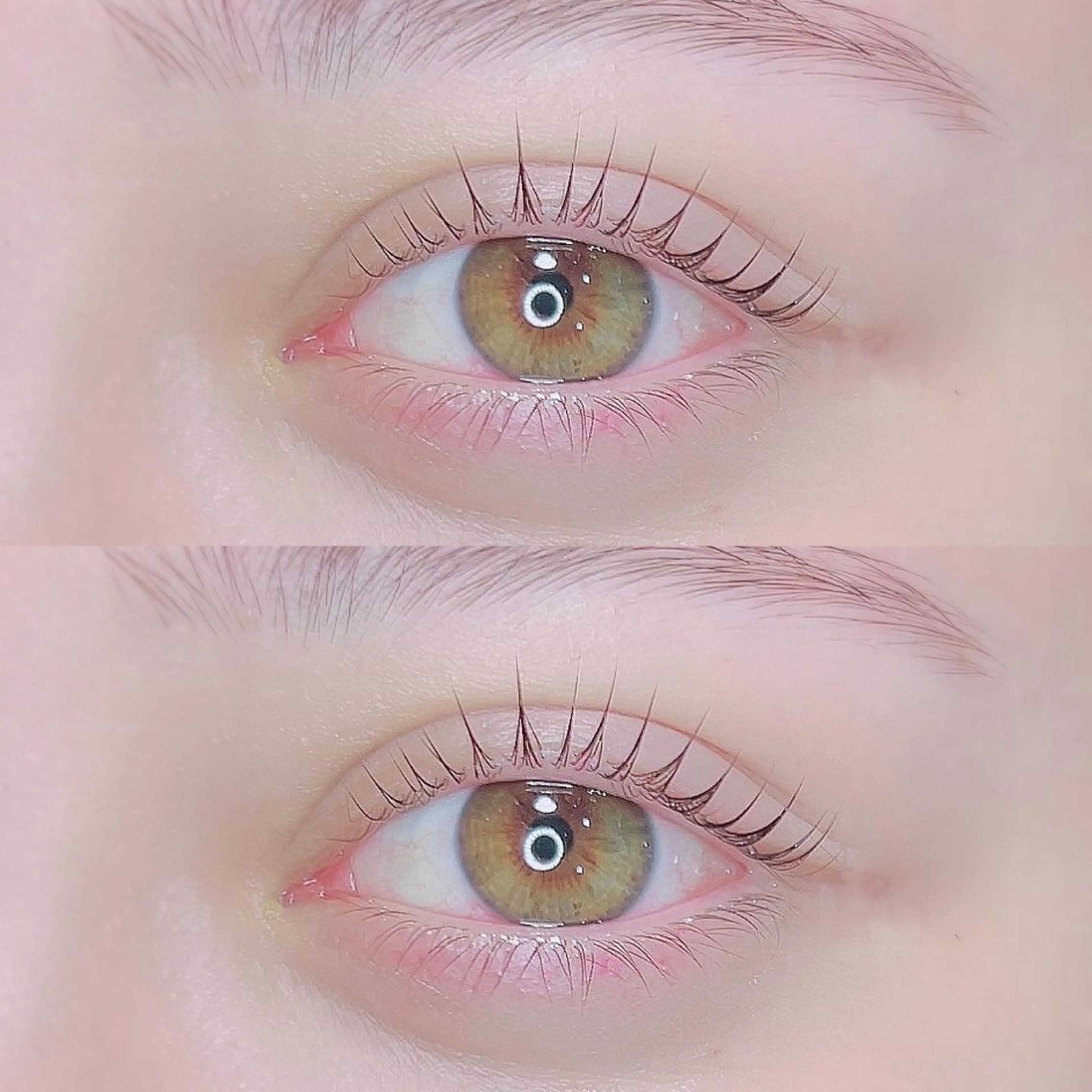 根元から立ち上がる♡︎パリジェンヌラッシュリフト◆トリートメント/コーティング剤/ヘッドマッサージ付き☆の写真