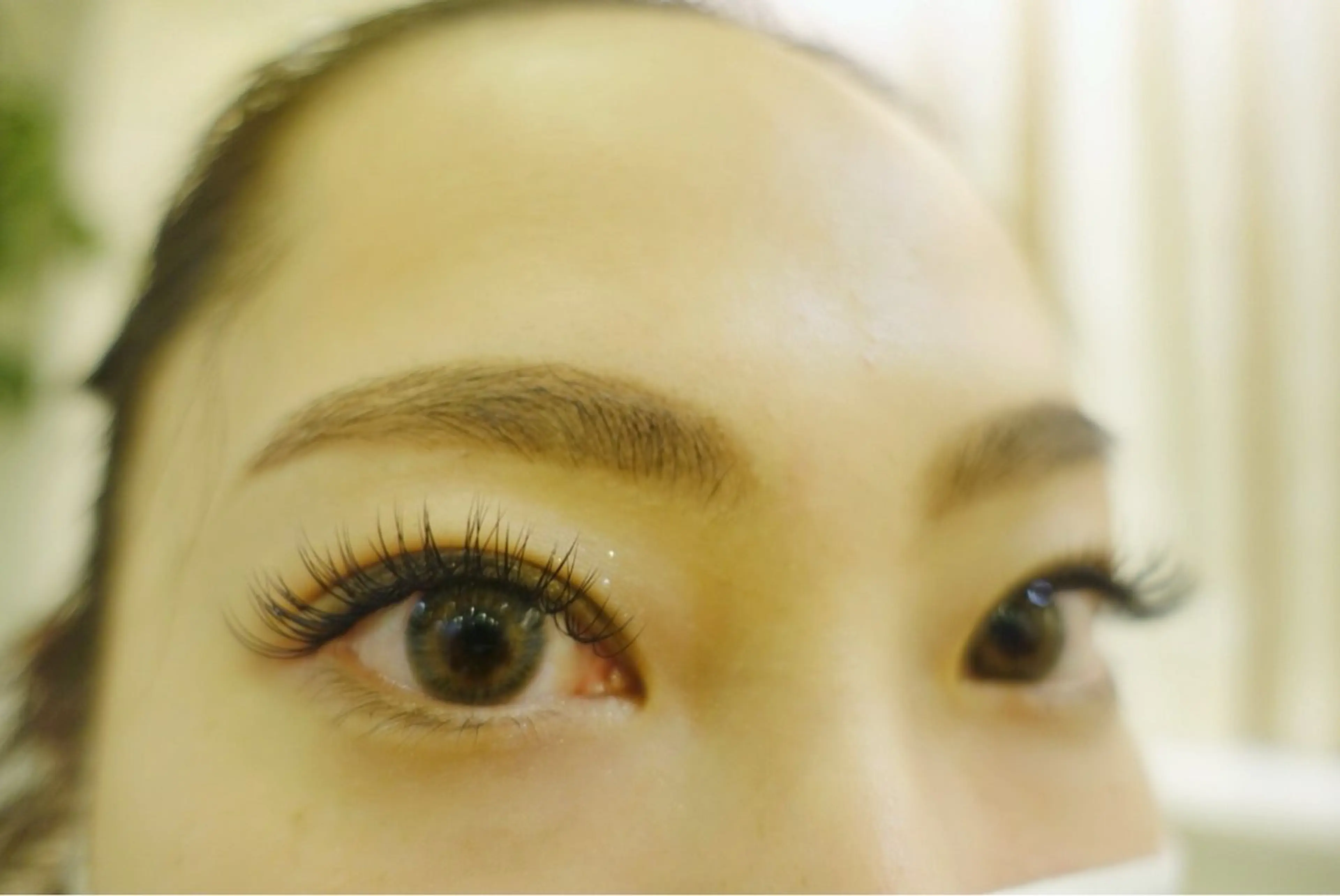 マツエク・マツパ Salon EF 掛布の眉毛・アイブロウイメージ