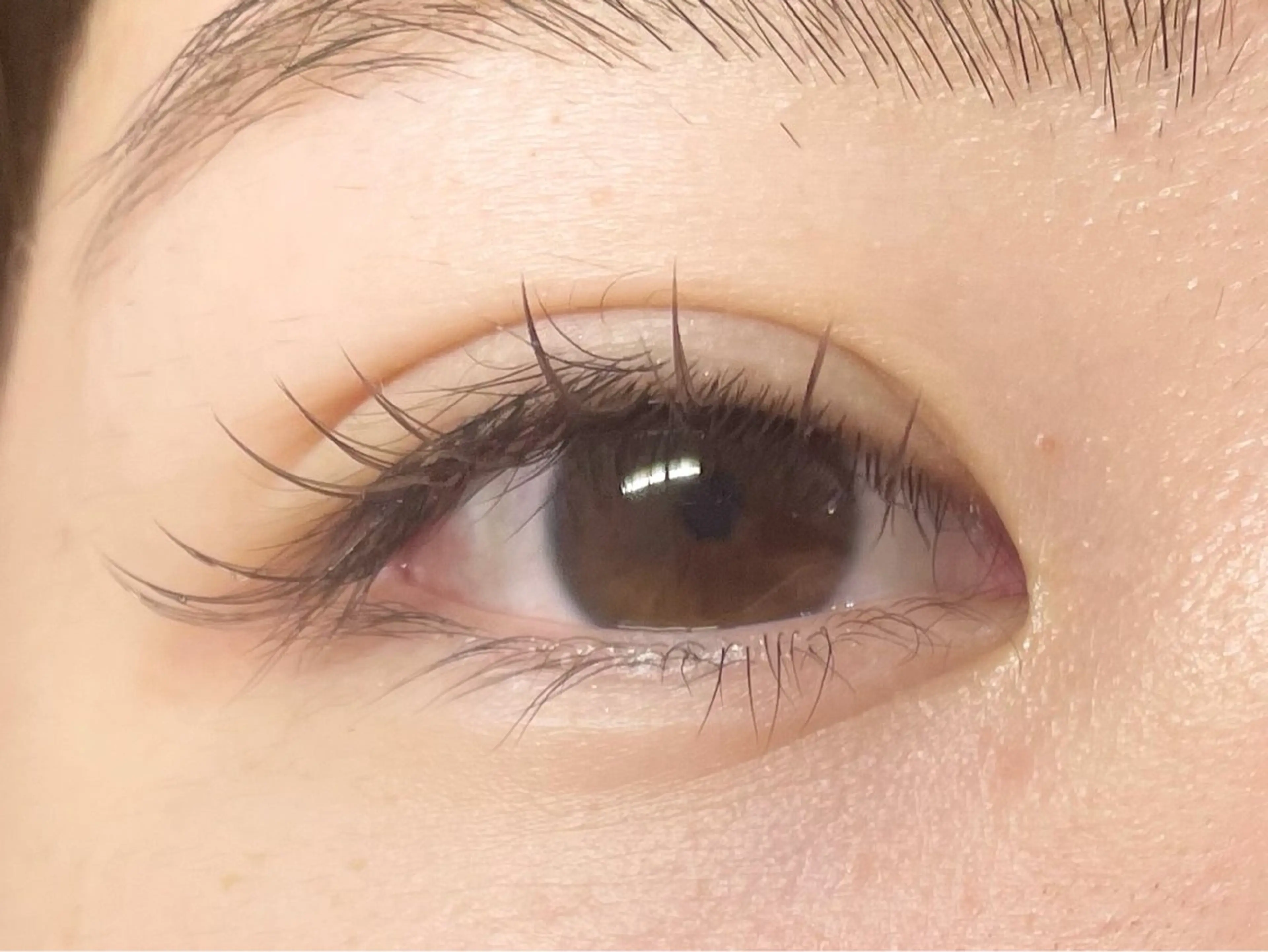 マツエク・マツパ マツエク 中村彩香 (エフドゥ)のマツエク・マツパデザイン