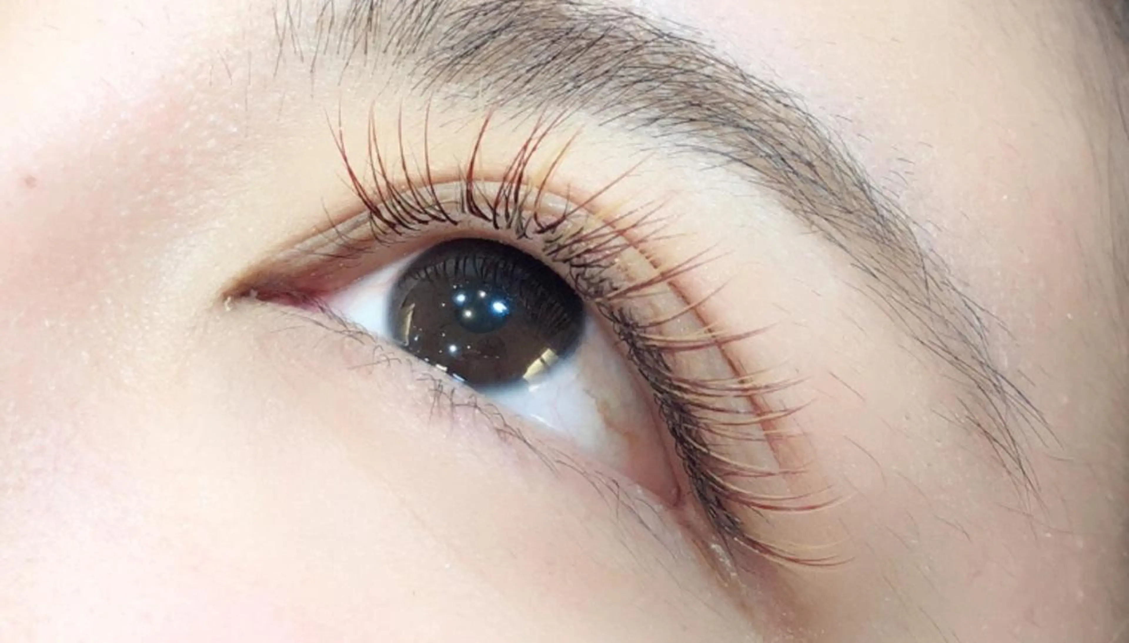 マツエク・マツパ カラーマツエク セクシー Luana北千住🩵 株木 美果のマツエク・マツパデザイン