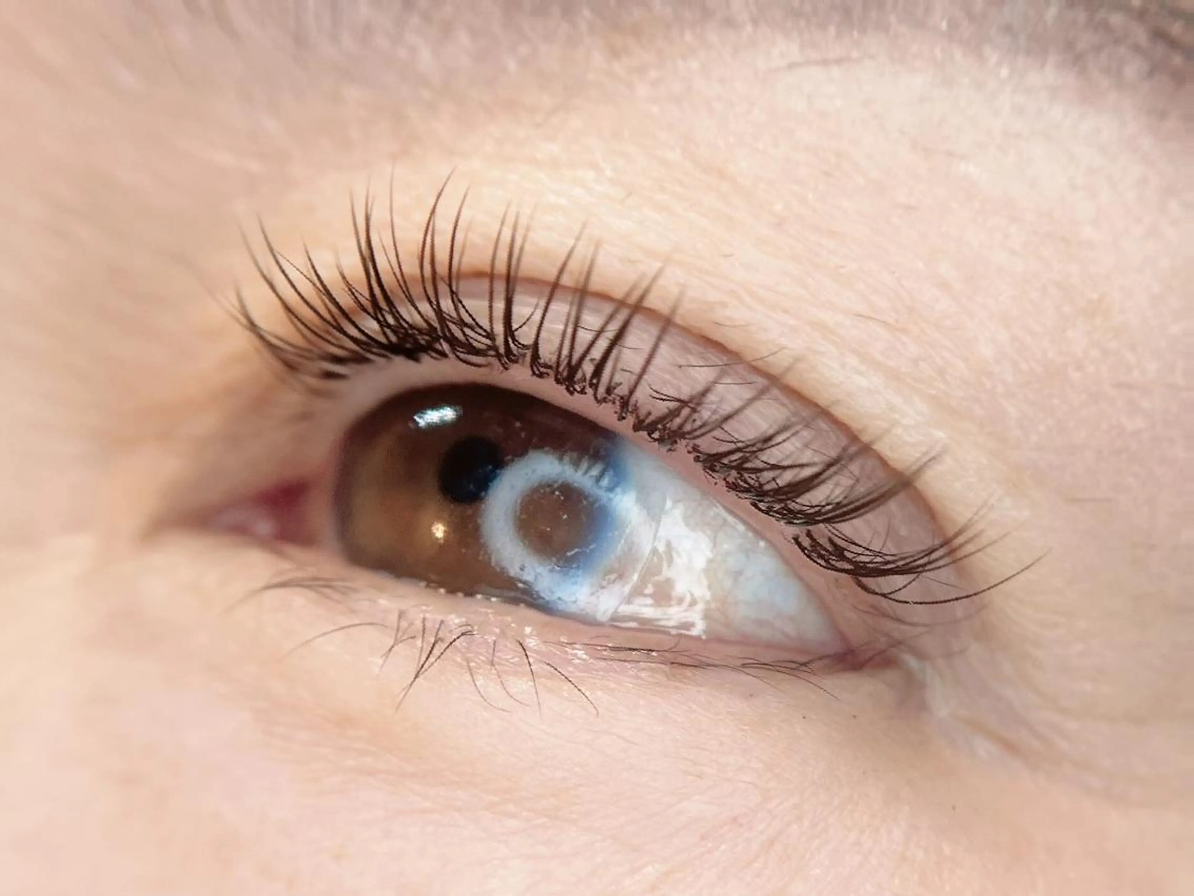 マツエク・マツパ ルアナプラス ひばりのマツエク・マツパデザイン