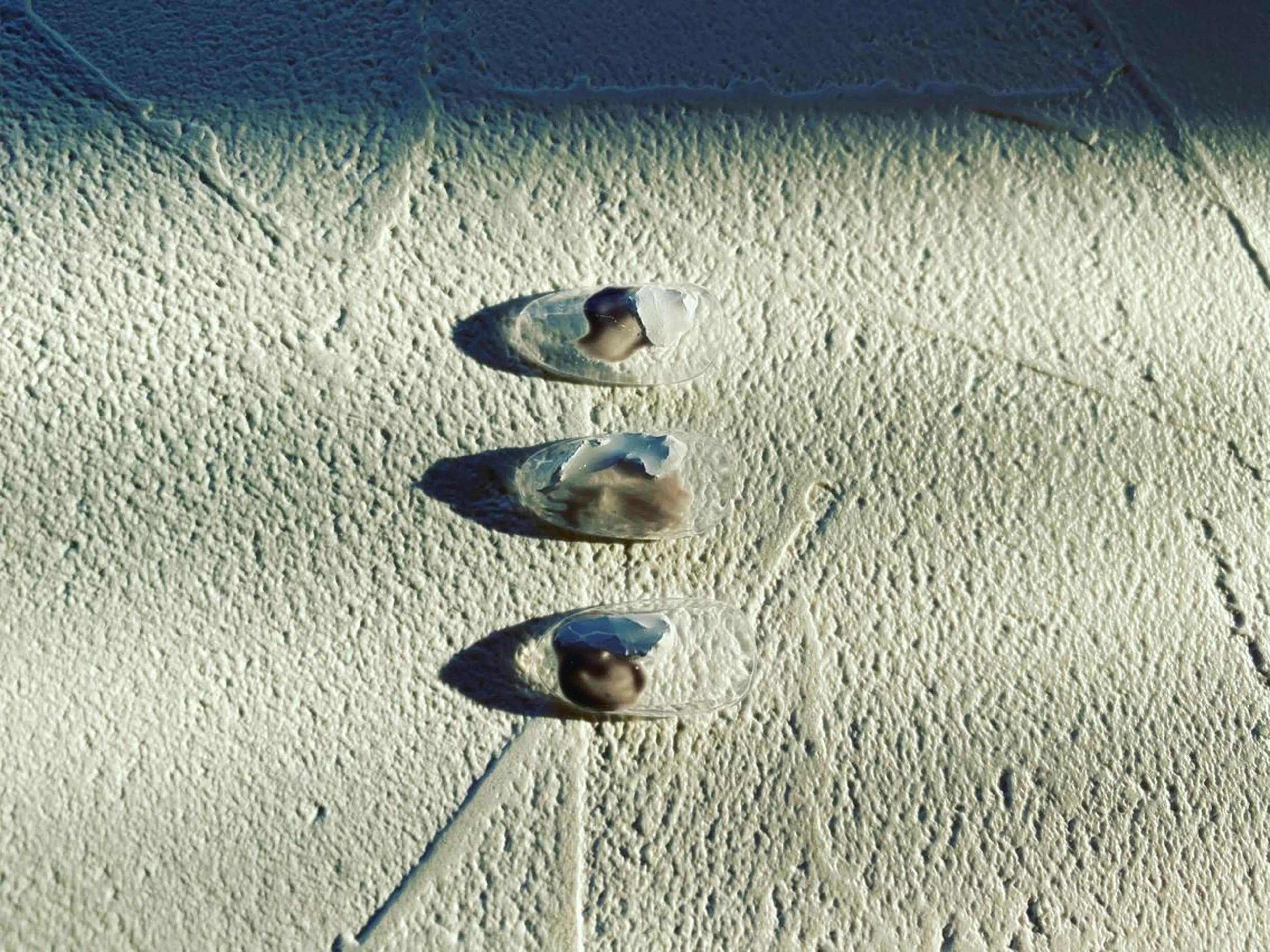 ネイル 49-seek所属・49-seek 松野千恵子のネイルデザイン