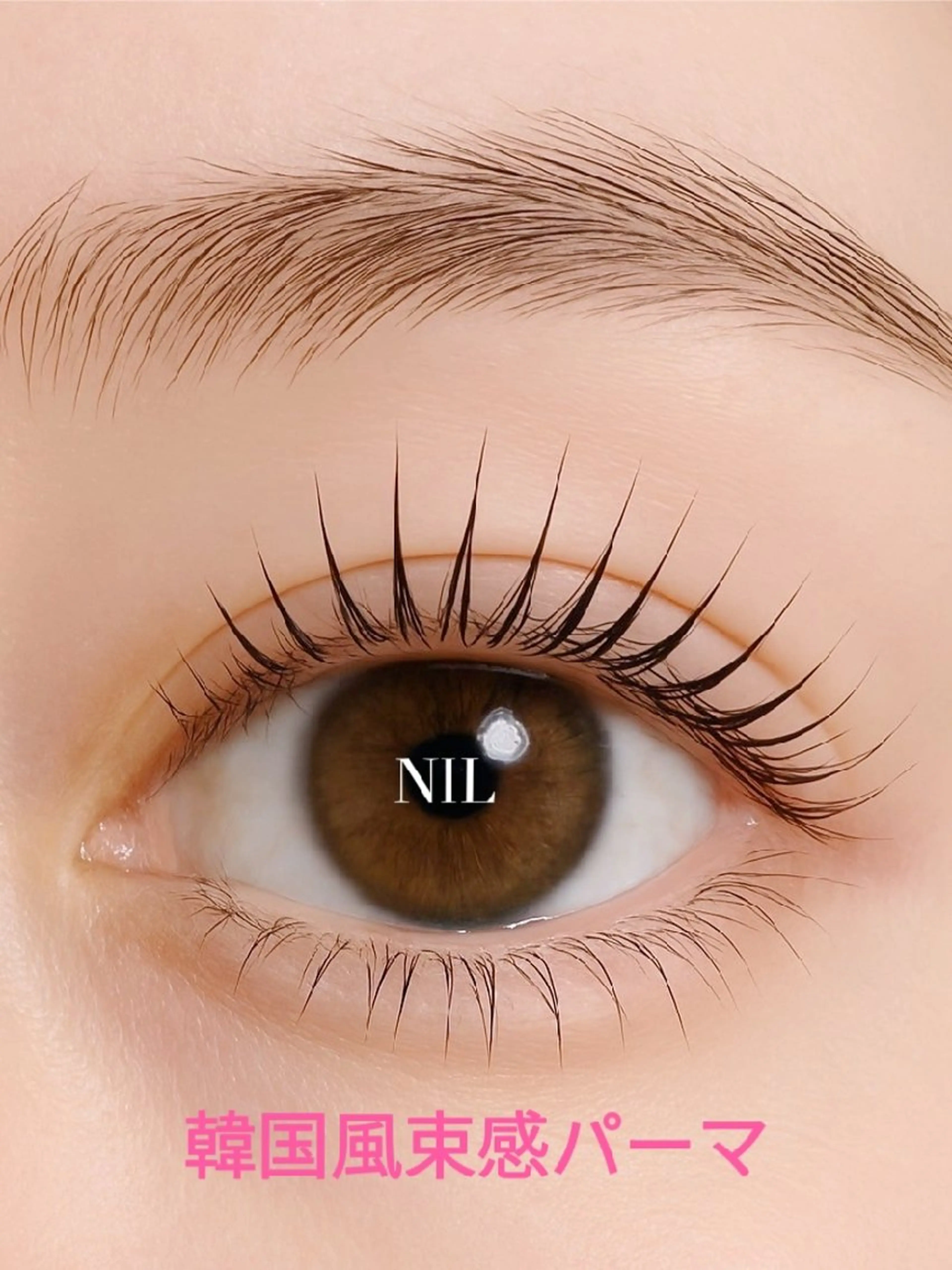 ❤️ᩚ韓国風まつげパーマ❤️ᩚ美容コーティング束感仕上げの写真