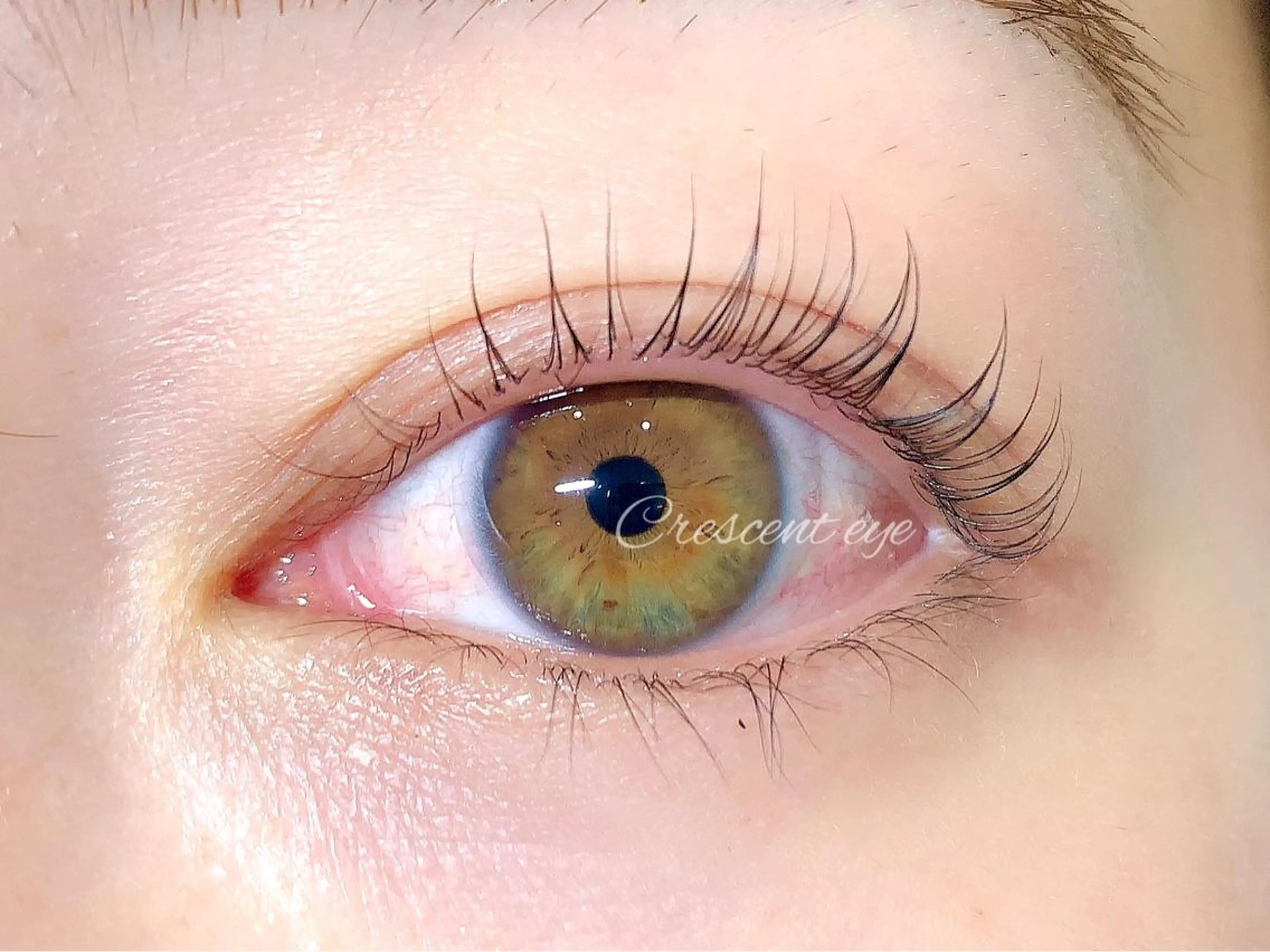 マツエク・マツパ パリジェンヌラッシュリフト マツパ ponopipi 小倉店のマツエク・マツパデザイン