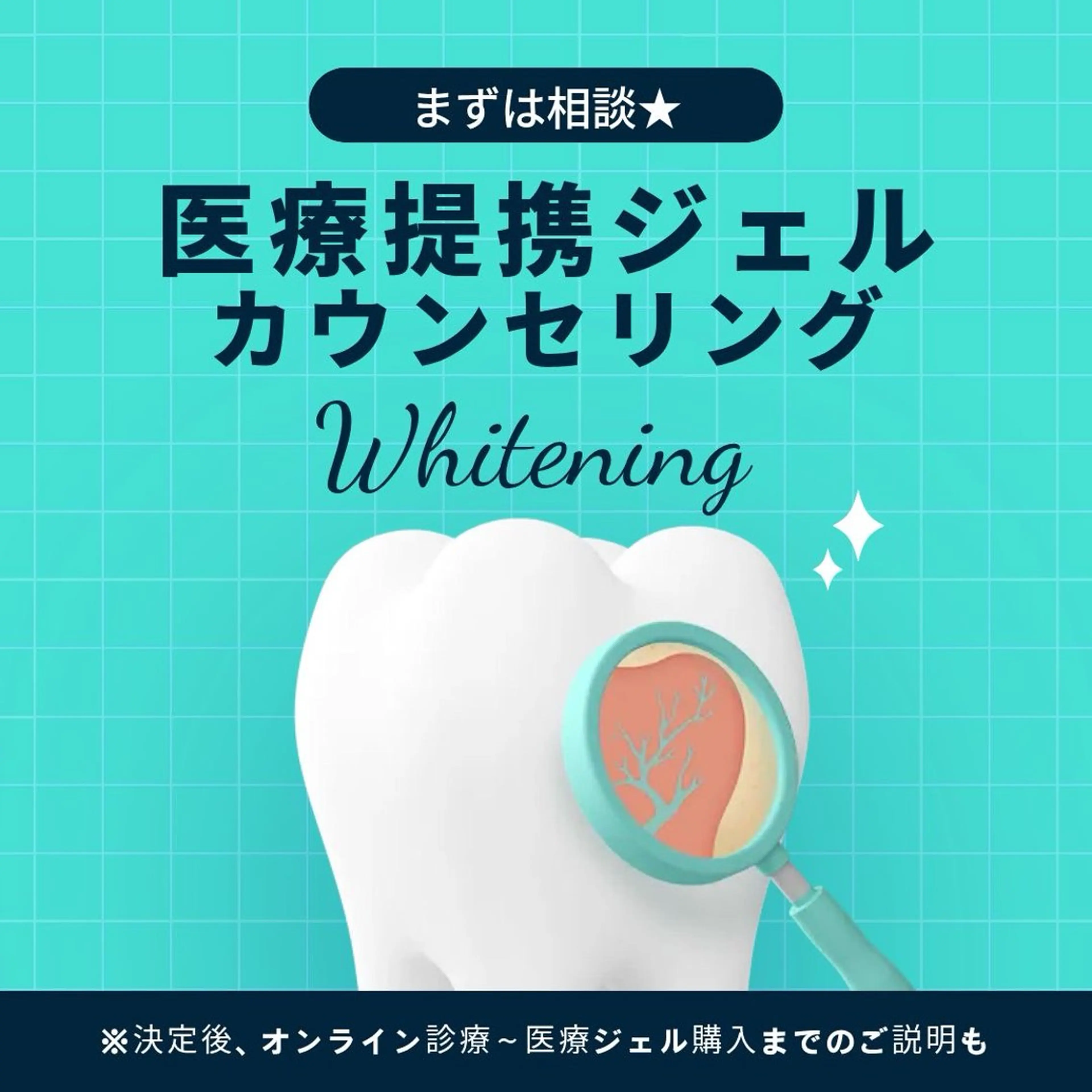 医療提携ホワイトニングカウンセリングのみの写真