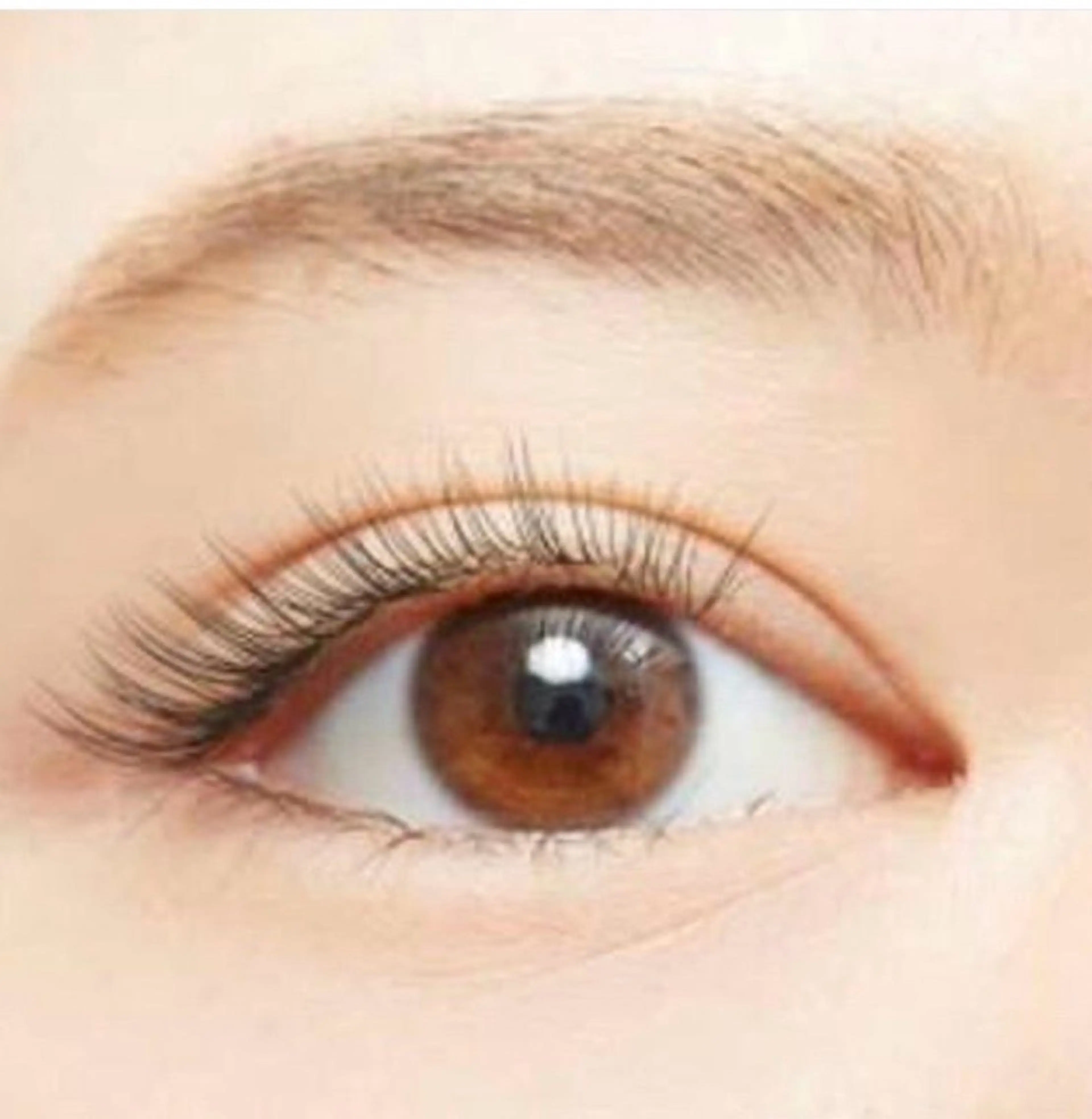 ãããšã¯ã»ããã ãããšã¯ SAEGUSA .âðð æ¡æšçºã®ãããšã¯ã»ããããã¶ã€ã³