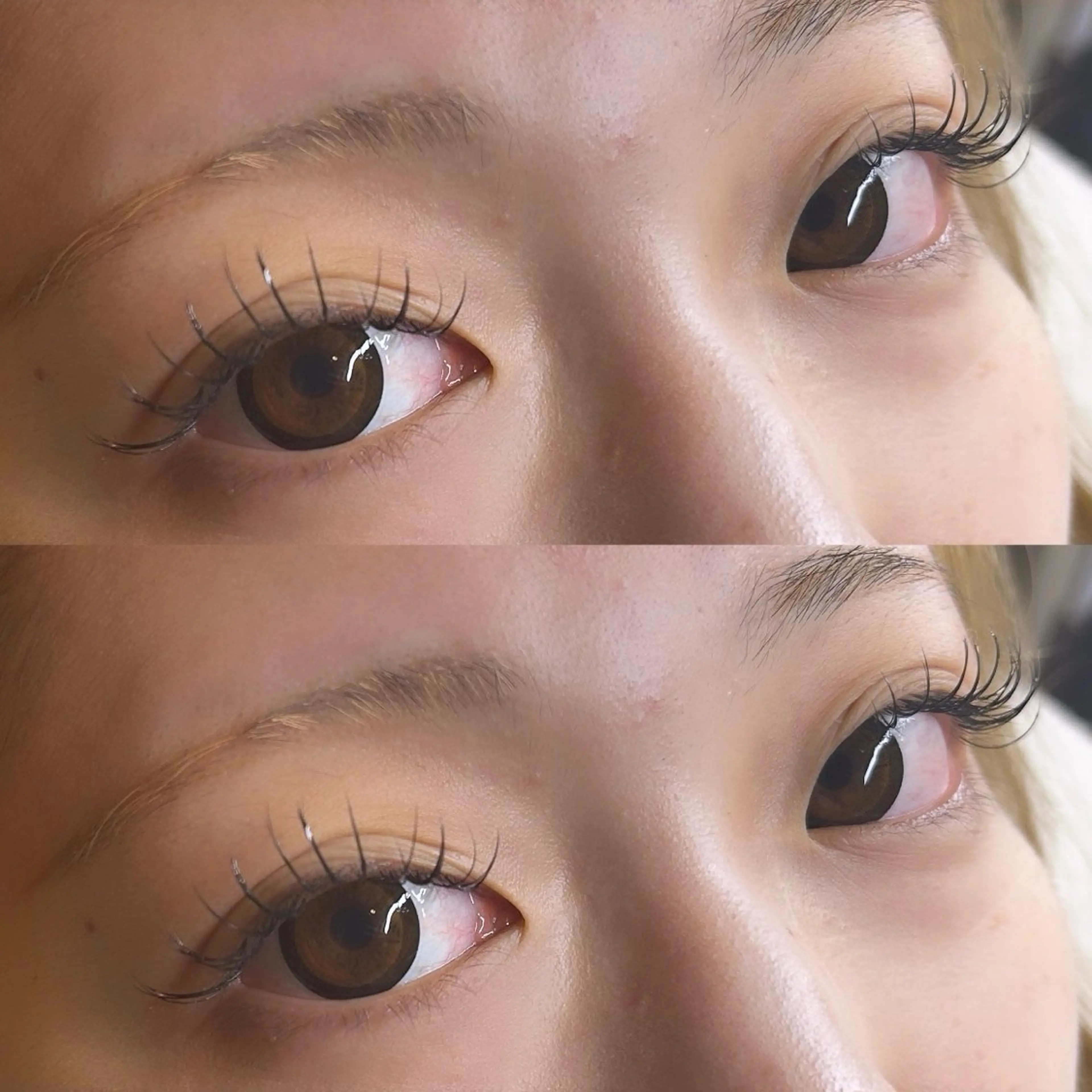 フラットorセーブル100本【リペア】の写真