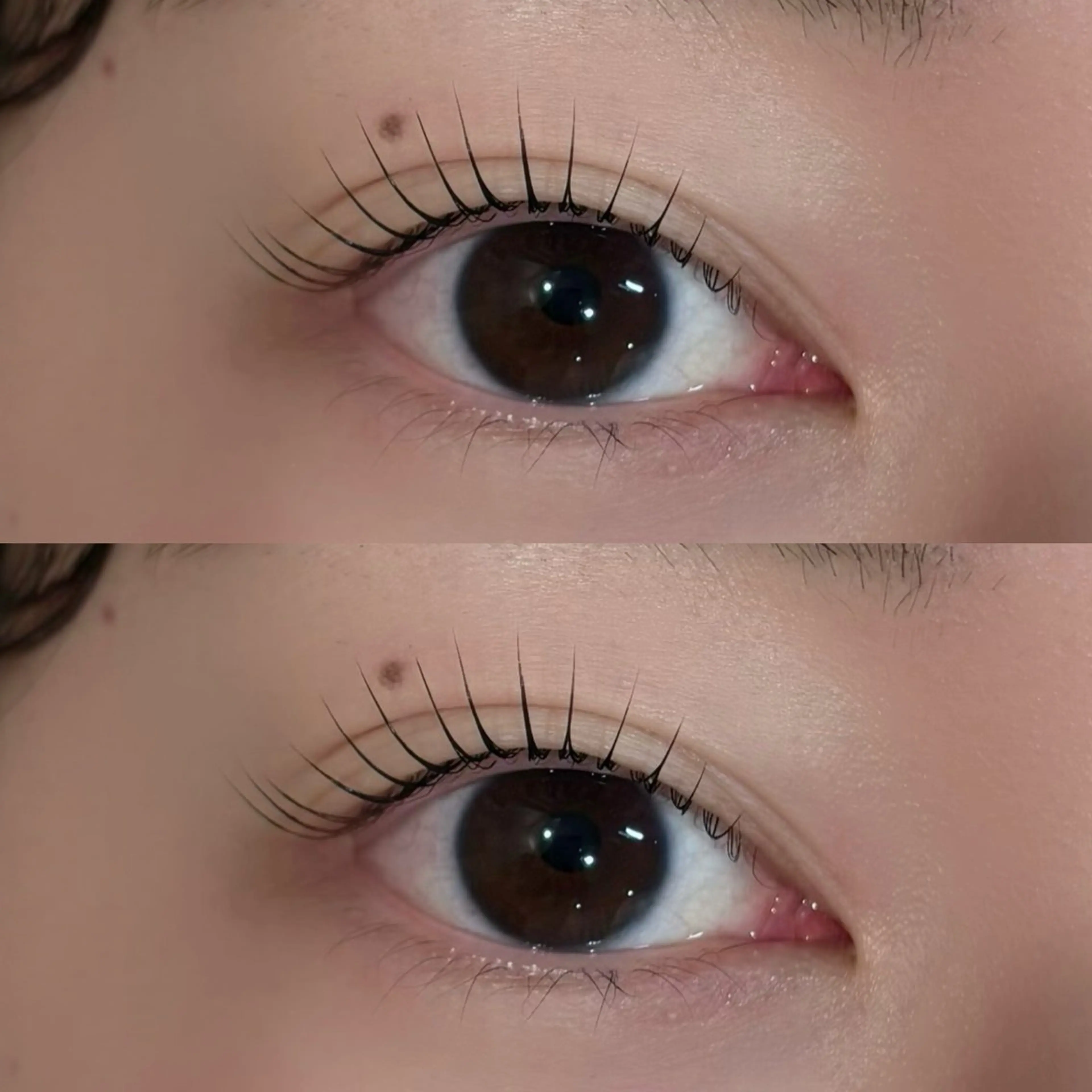 期間限定💛【一重・奥二重さん必見】まぶたを避けて上げる！似合わせ上まつ毛パーマの写真