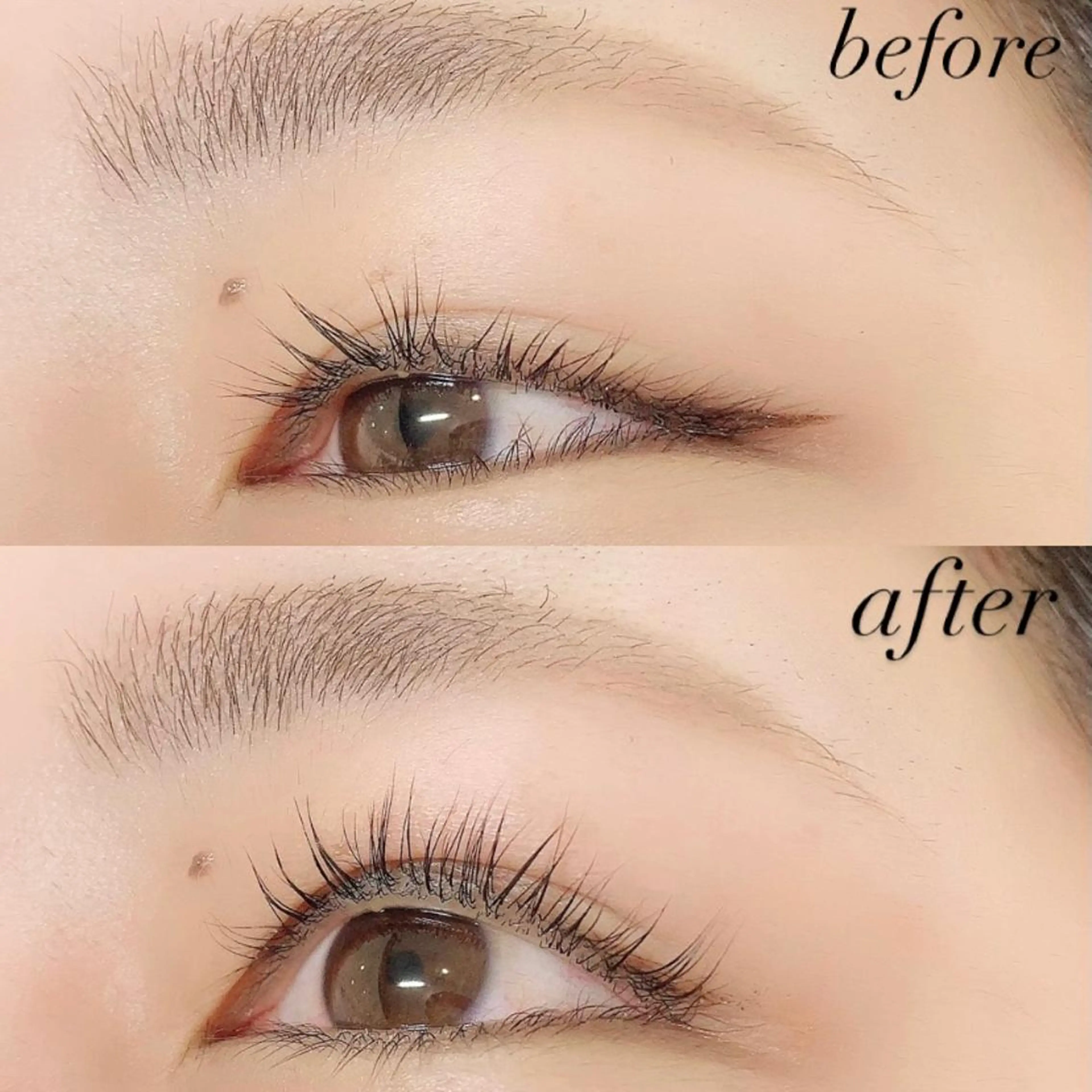 マツエク・マツパ マツパ Lanhr所属・【Lanhr】 🕊aya🕊のマツエク・マツパデザイン