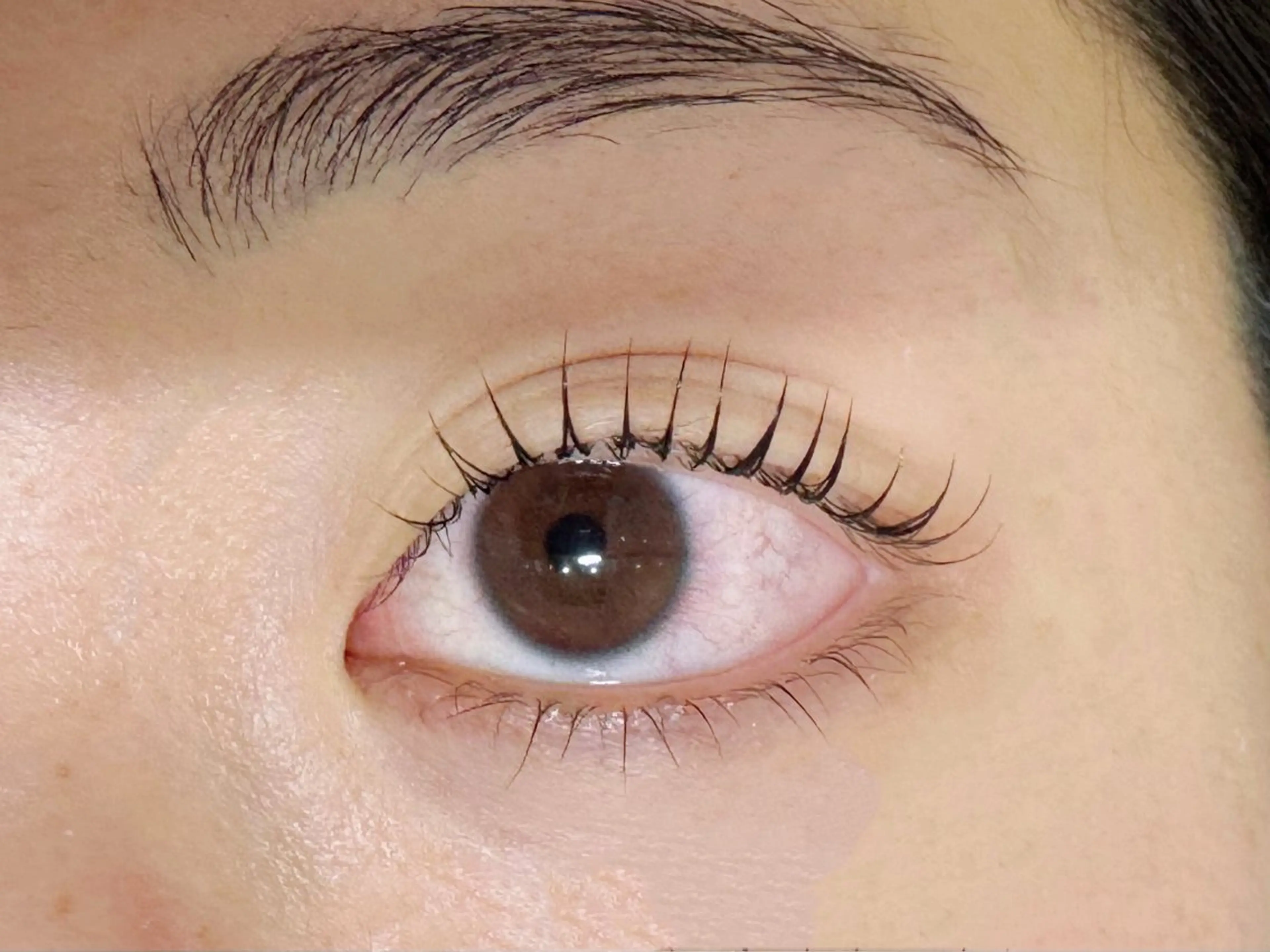 マツエク・マツパ 坂本 亜美のマツエク・マツパデザイン