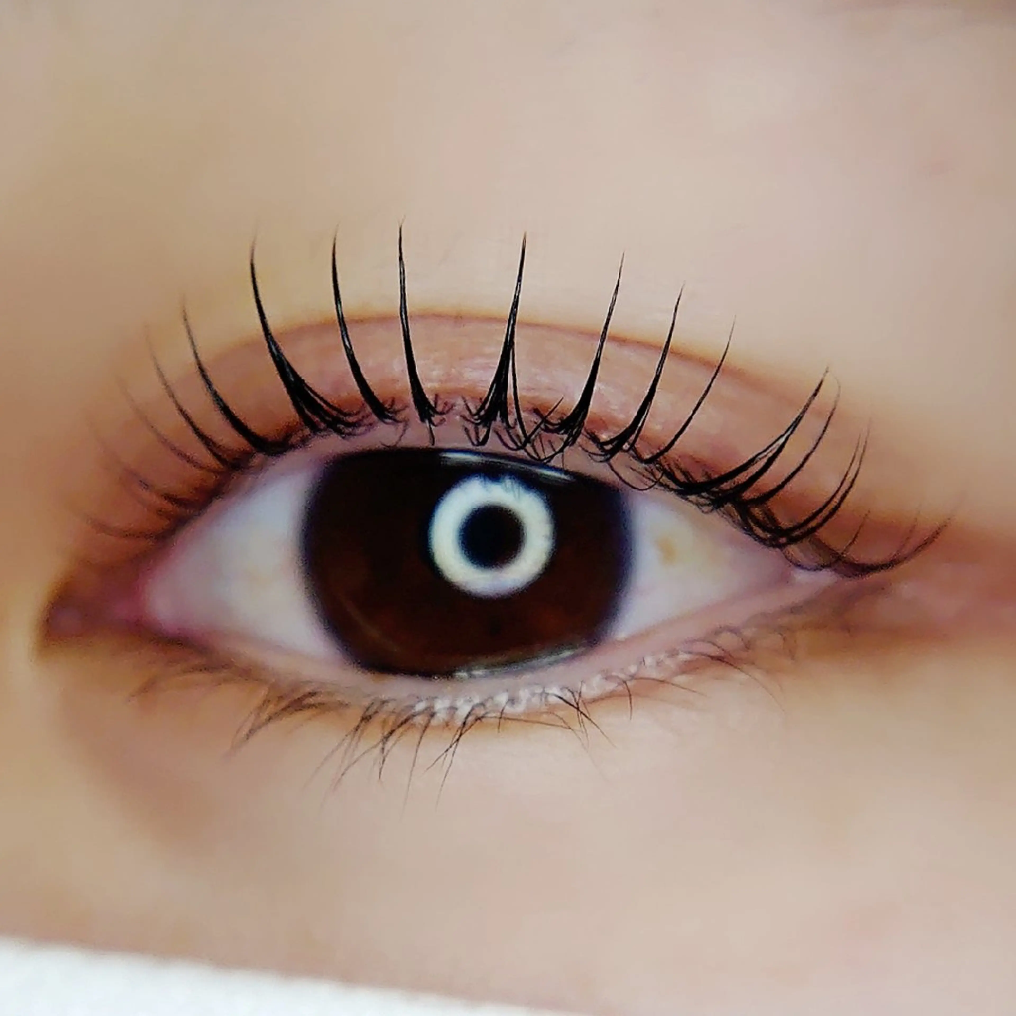 マツエク・マツパ Chelu TOMのマツエク・マツパデザイン