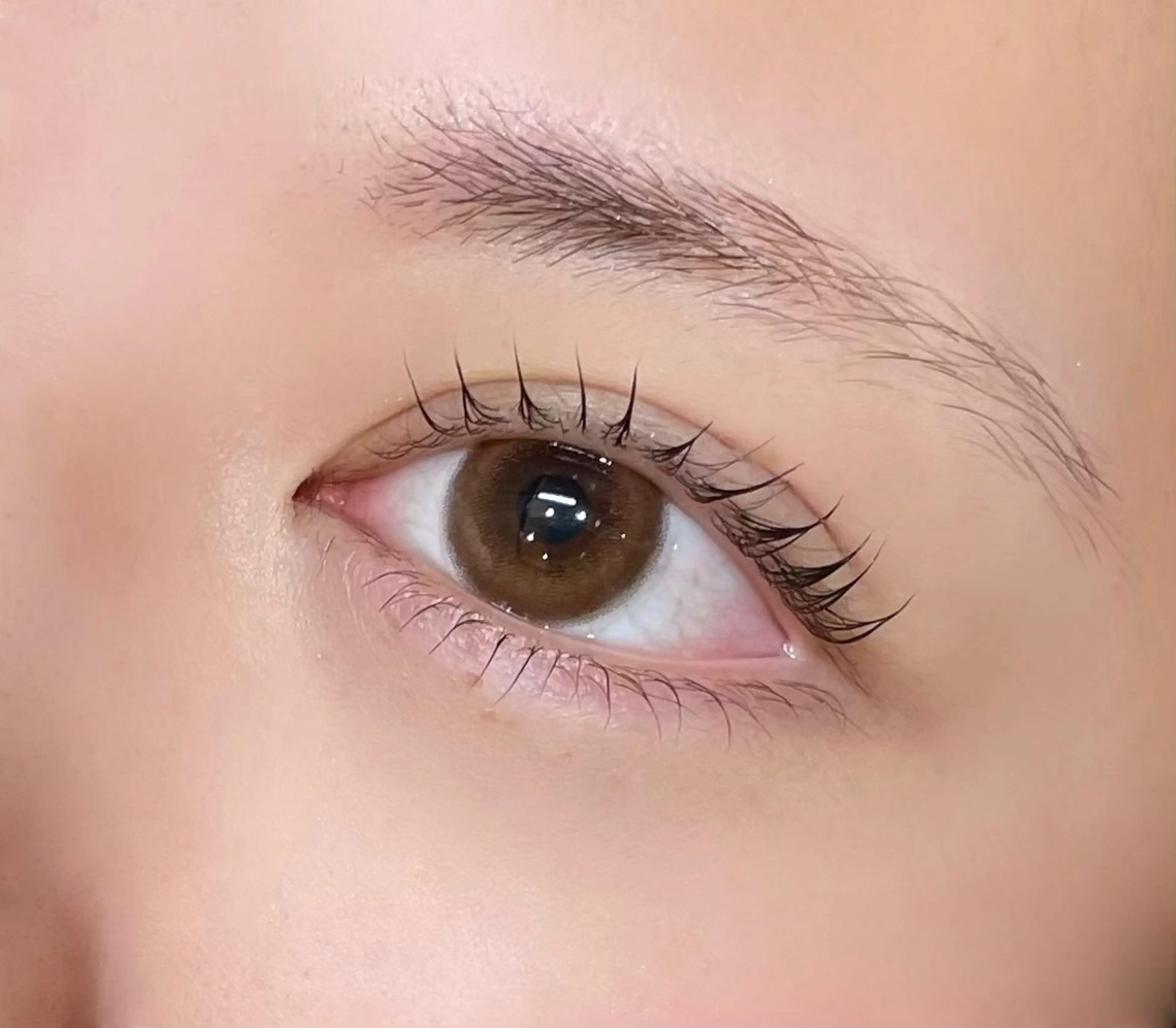 マツエク・マツパ まつげパーマ 下まつげエクステ 熊谷 クマガイの眉毛・アイブロウイメージ