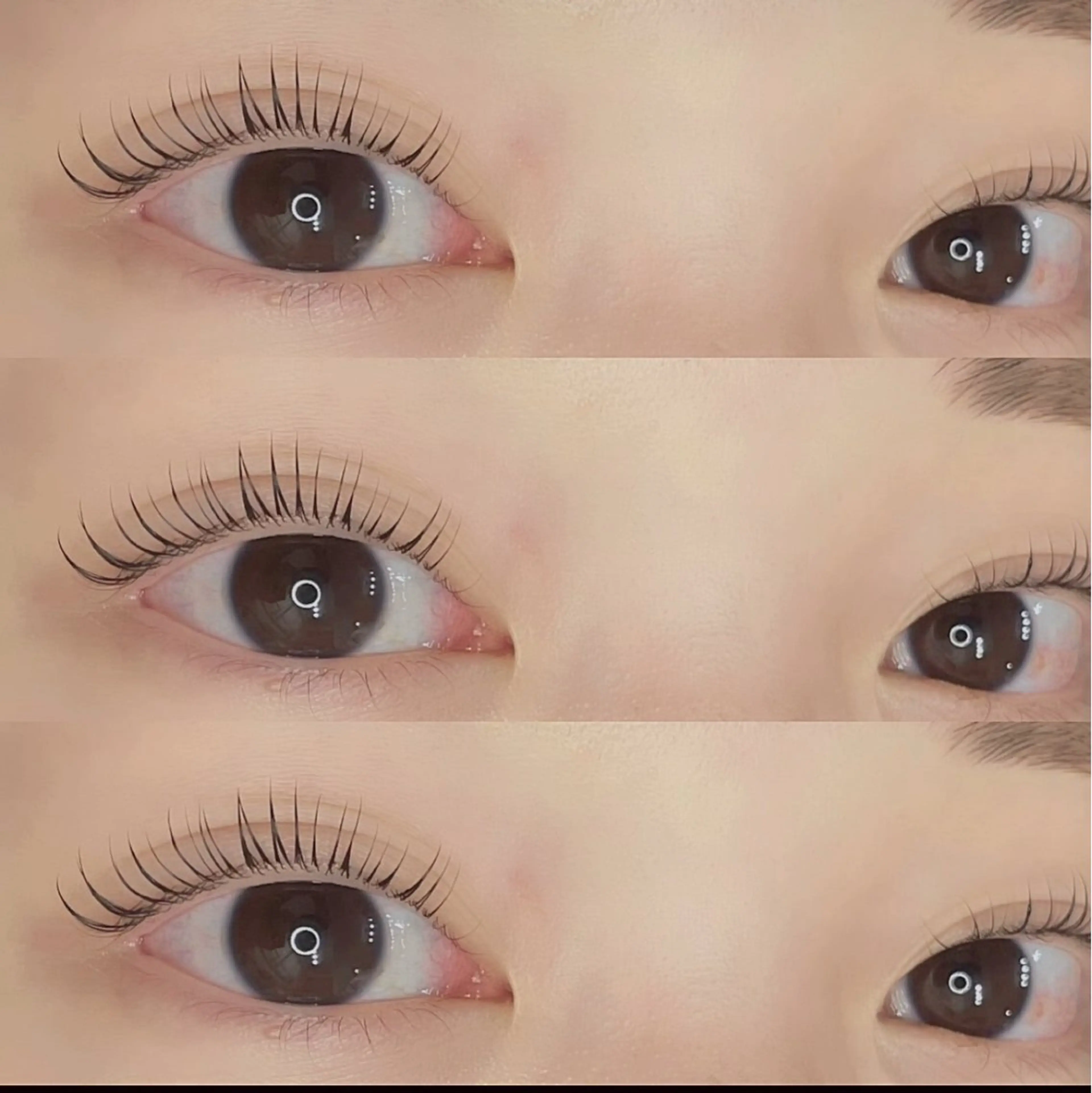 マツエク・マツパ マツパ まつげとまゆげのお店carino所属・carino carino.nのマツエク・マツパデザイン