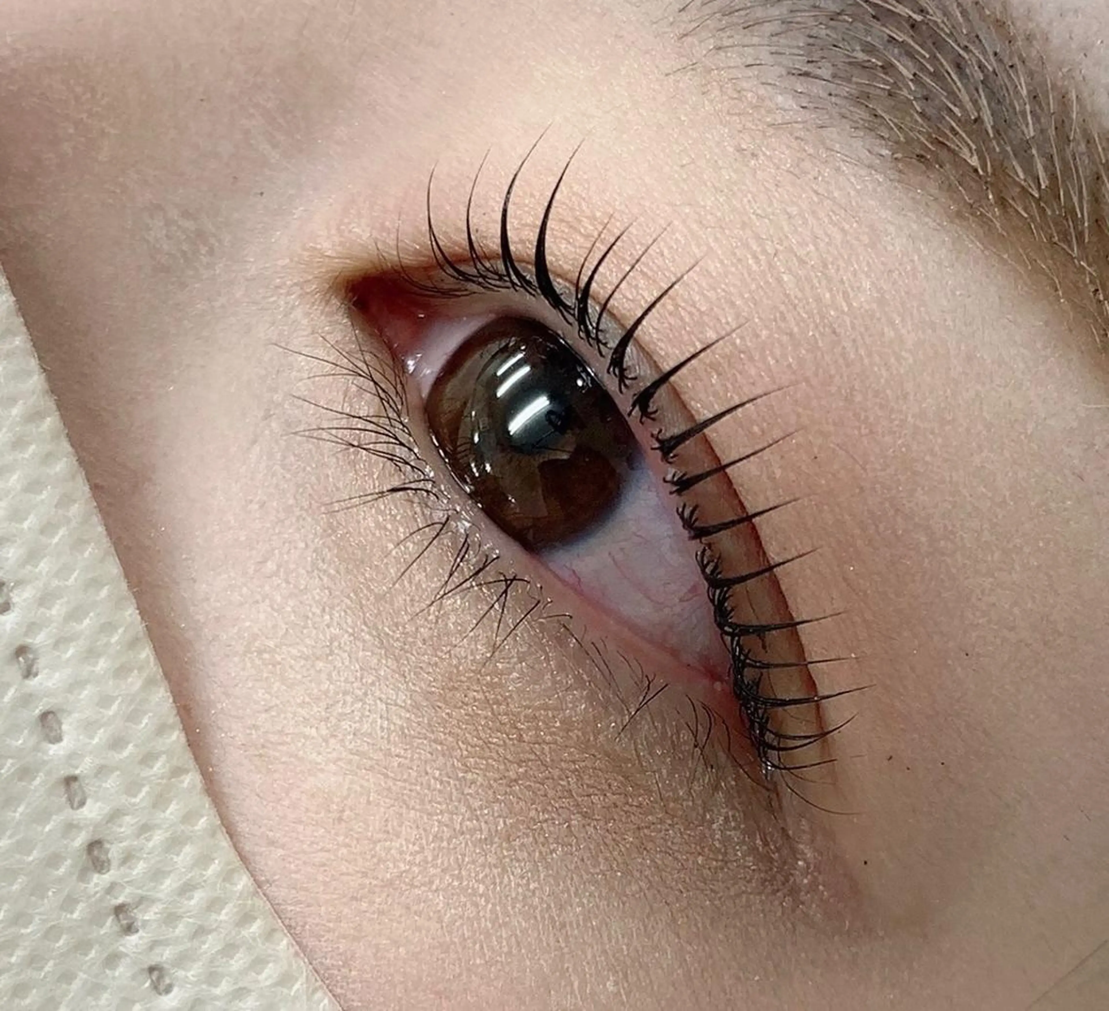 ラッシュリフトの写真