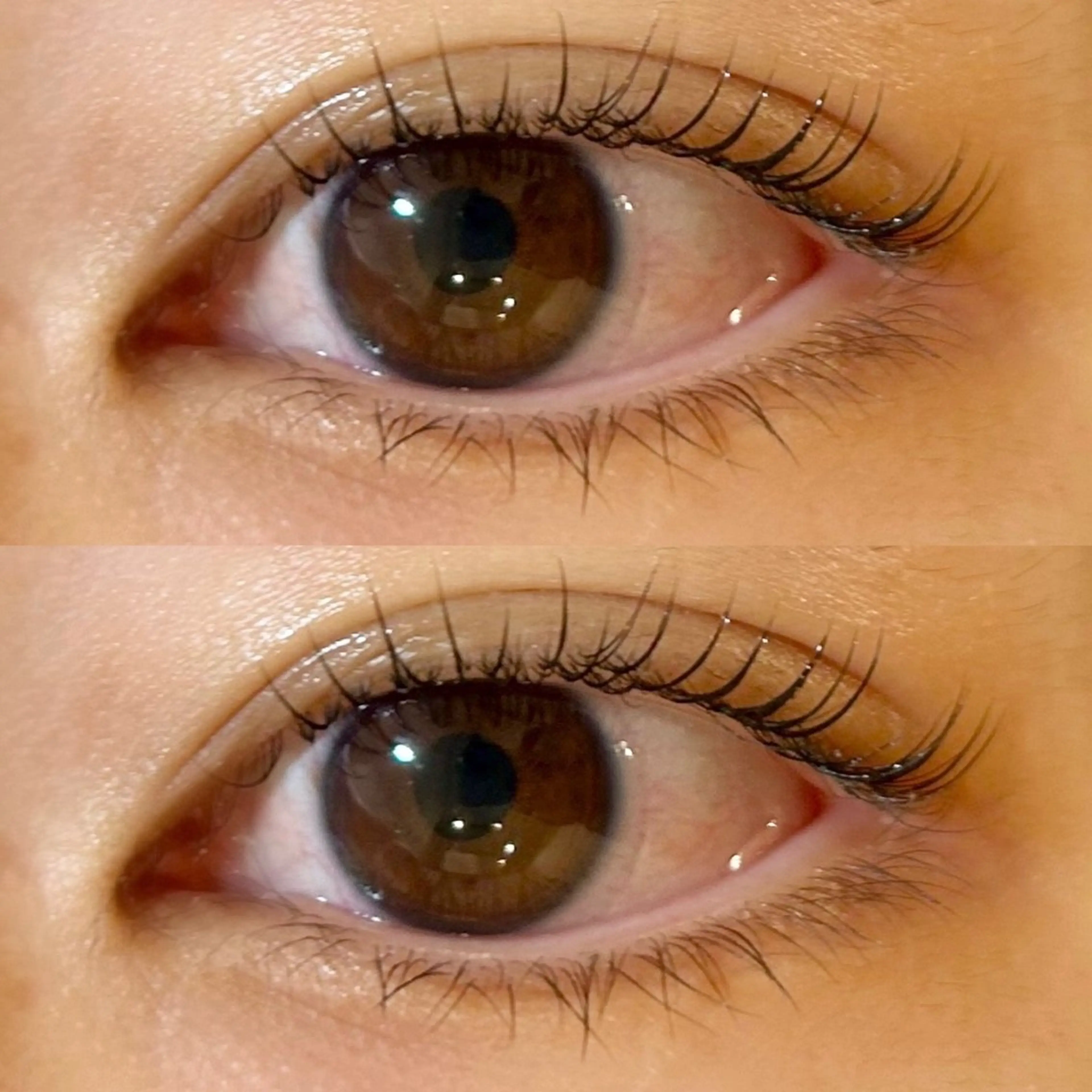 マツエク・マツパ パリジェンヌラッシュリフト eye candy 🩵honokaの眉毛・アイブロウイメージ