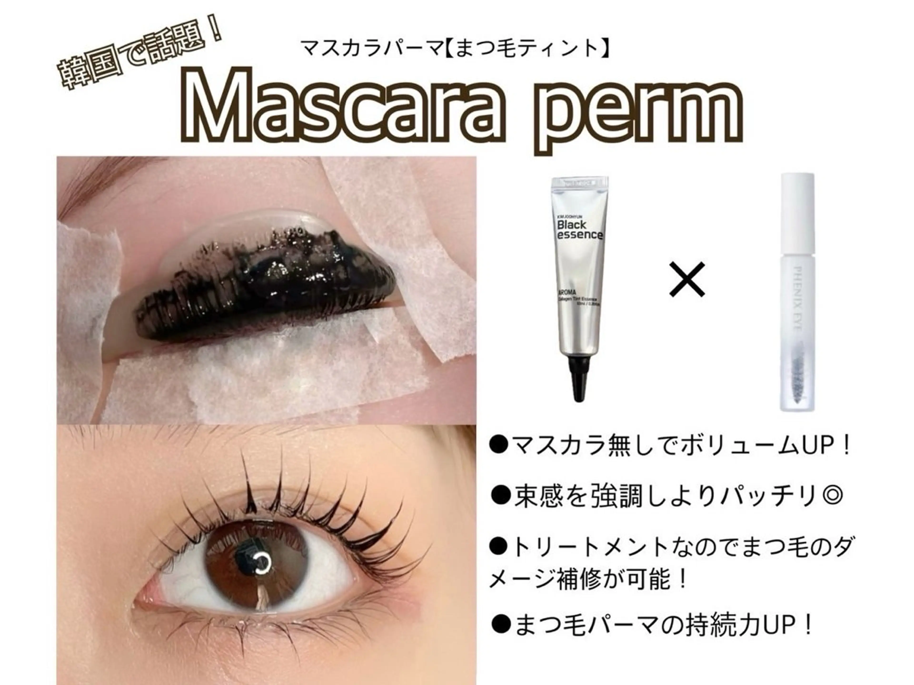 🧸マスカラパーマ 🌟コーティング仕上げ付きの写真