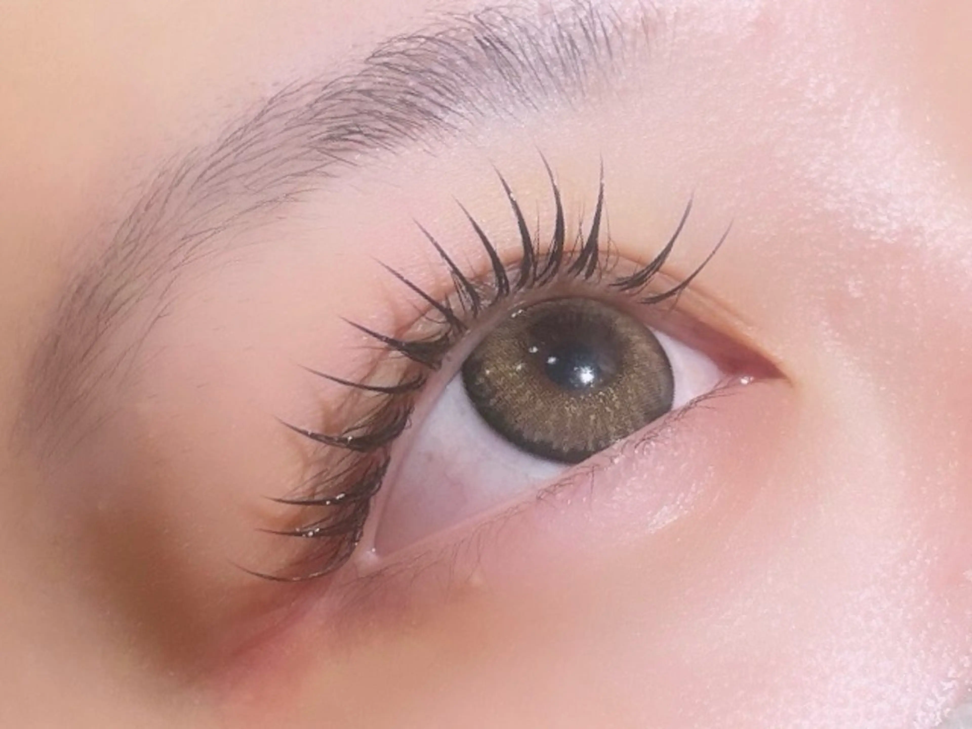 🎀【フラットラッシュ】🎀上80本の写真