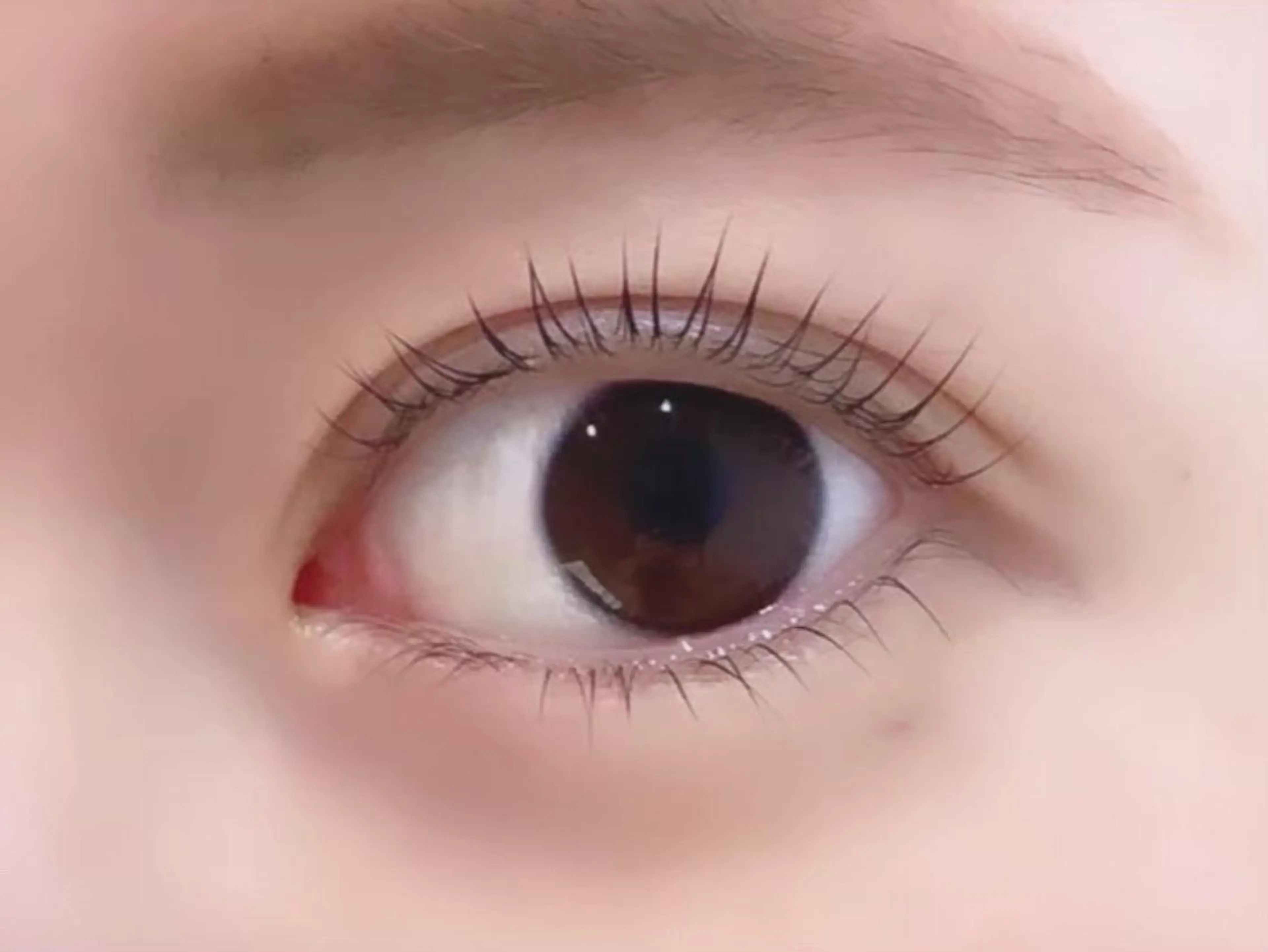 マツエク・マツパ Fiaraアイラッシュ合同研修所所属・Fiara 研修所💐のマツエク・マツパデザイン