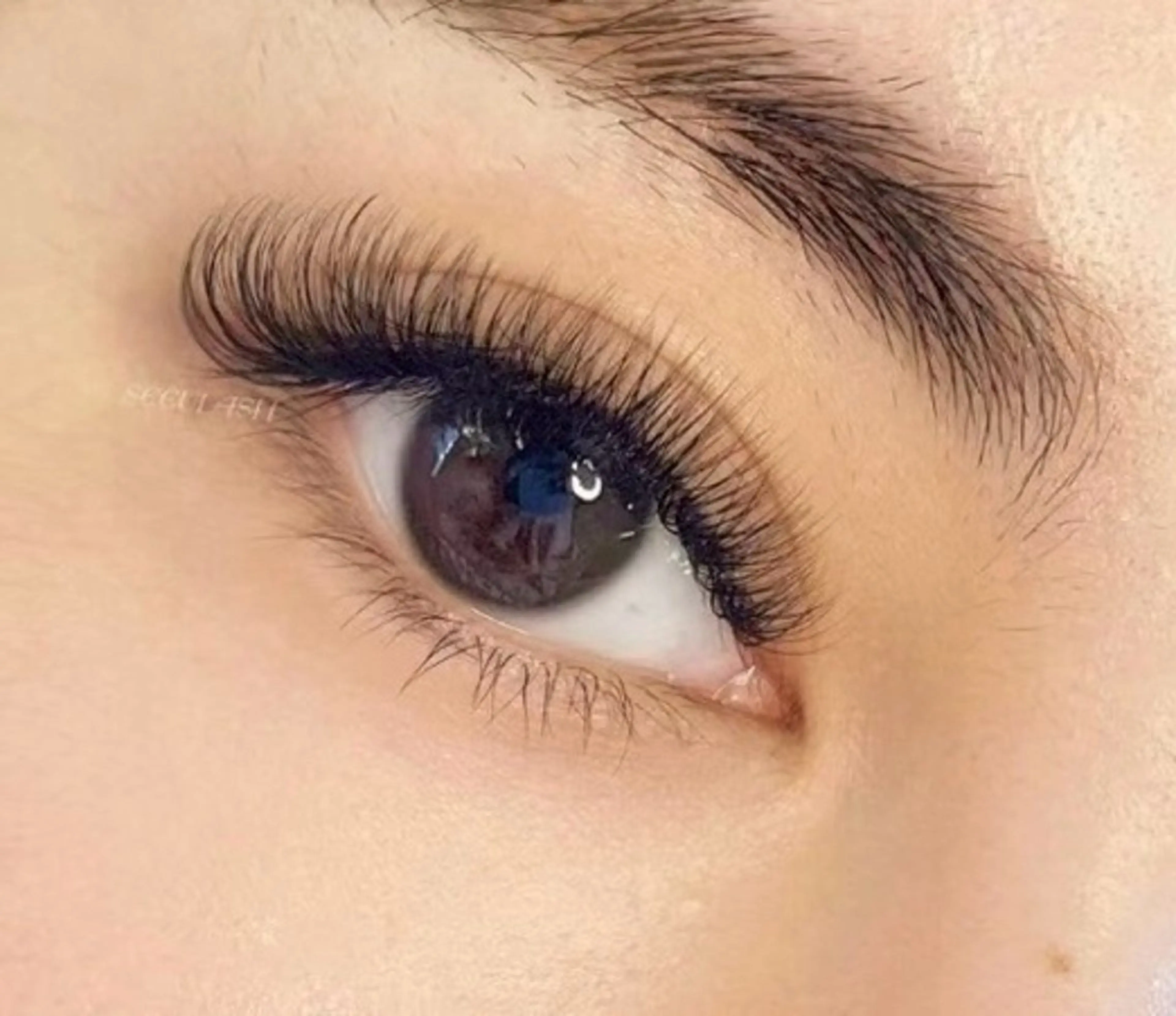 ［NEW メニュー］フワフワ3D-5Dボリュームラッシュ 400本まで¥5000の写真