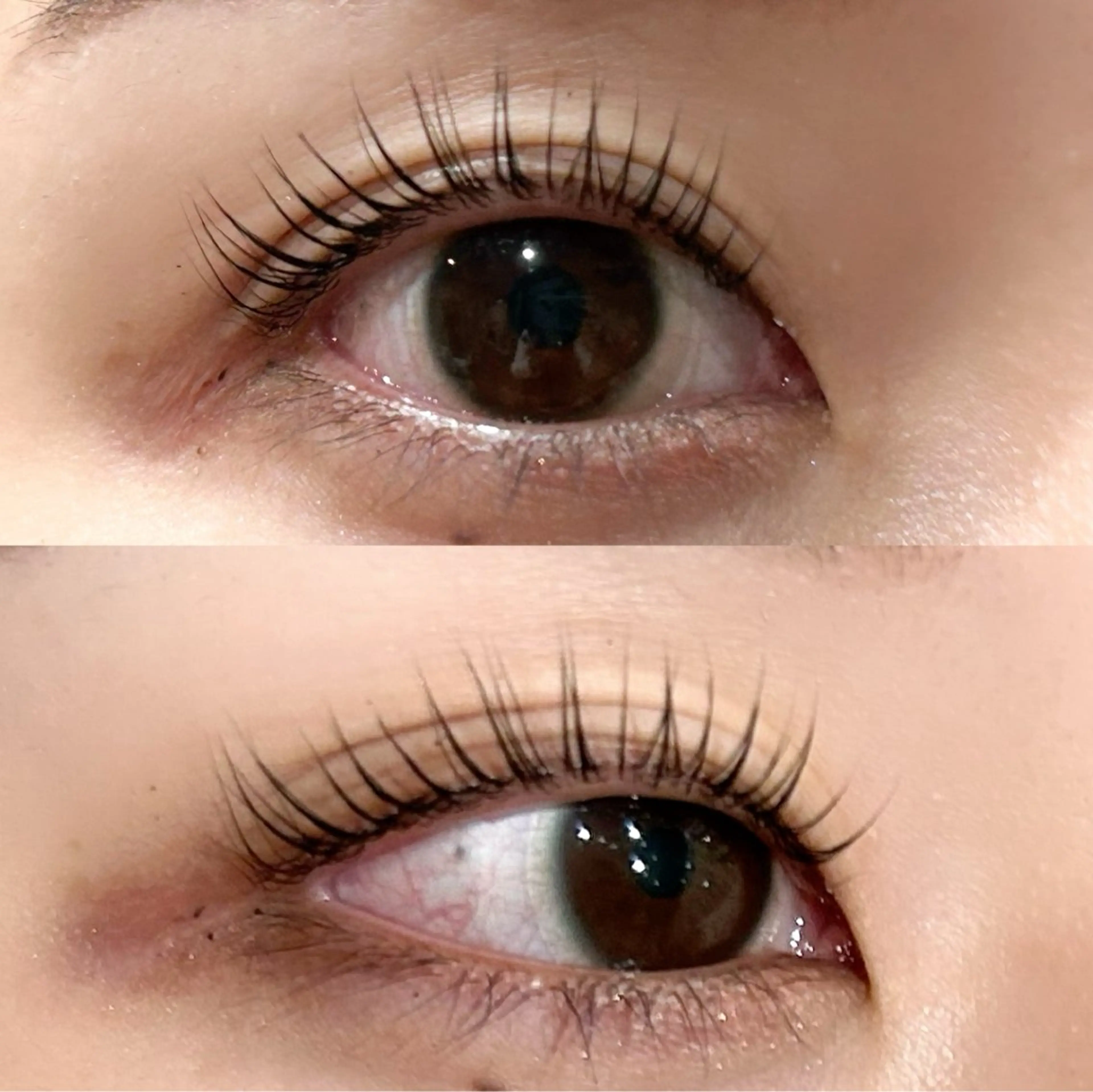 🌷学割U24🌷ナチュラル派必見！ラッシュリフトorパリジェンヌコーティング付き（束感仕上げ）☀️の写真