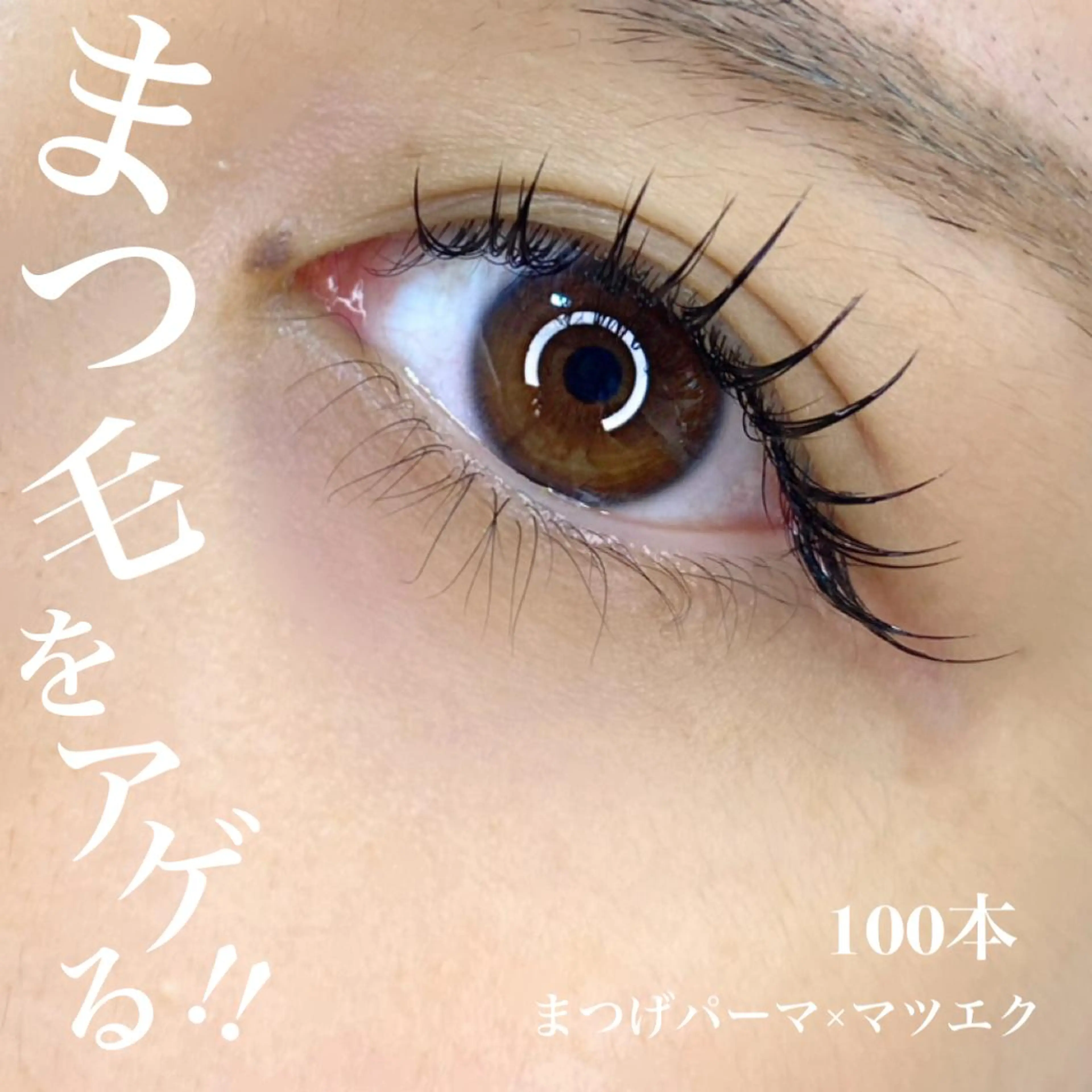 マツエク・マツパ フラットラッシュ 一重×まつ毛パーマ lieupré 池上涼佳🪽のマツエク・マツパデザイン