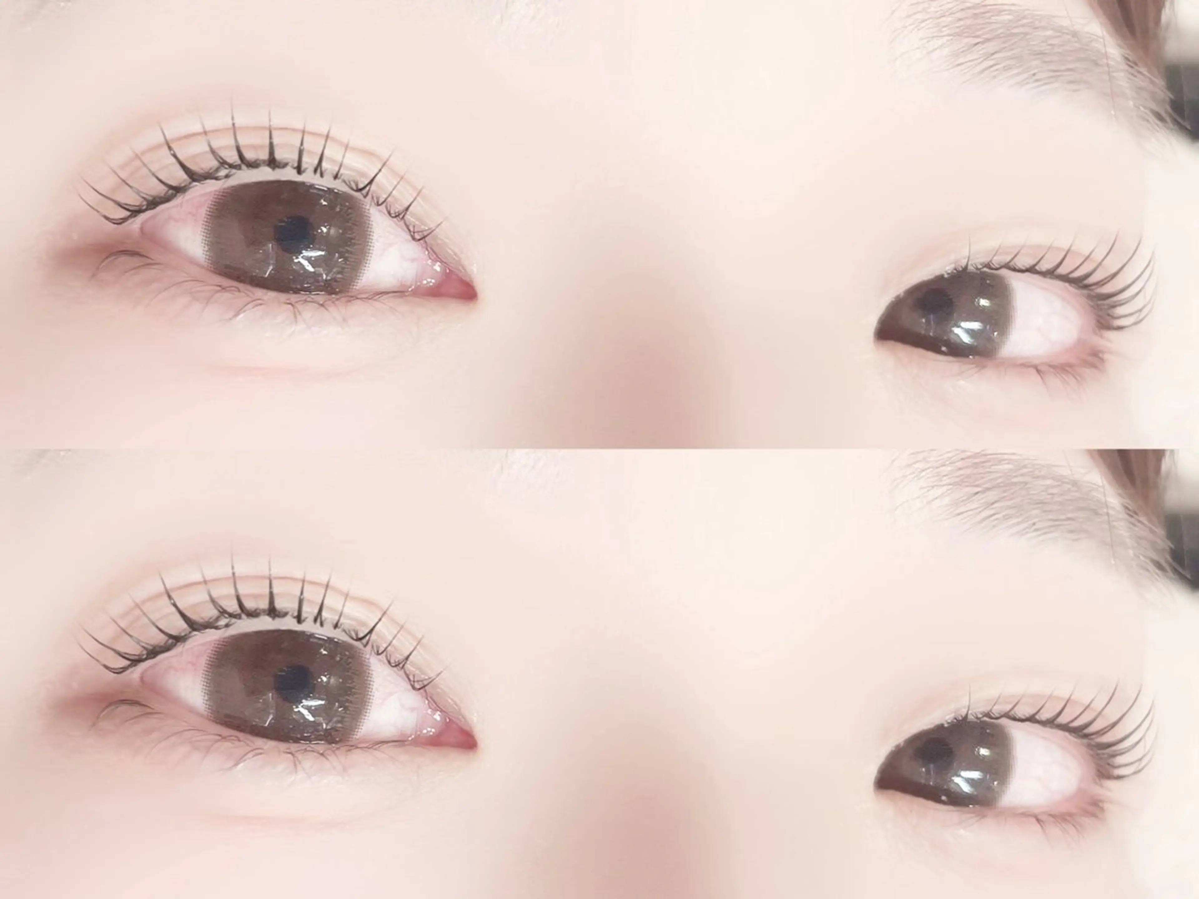 マツエク・マツパ マツパ Pupu lash所属・Pupu lash 2のマツエク・マツパデザイン