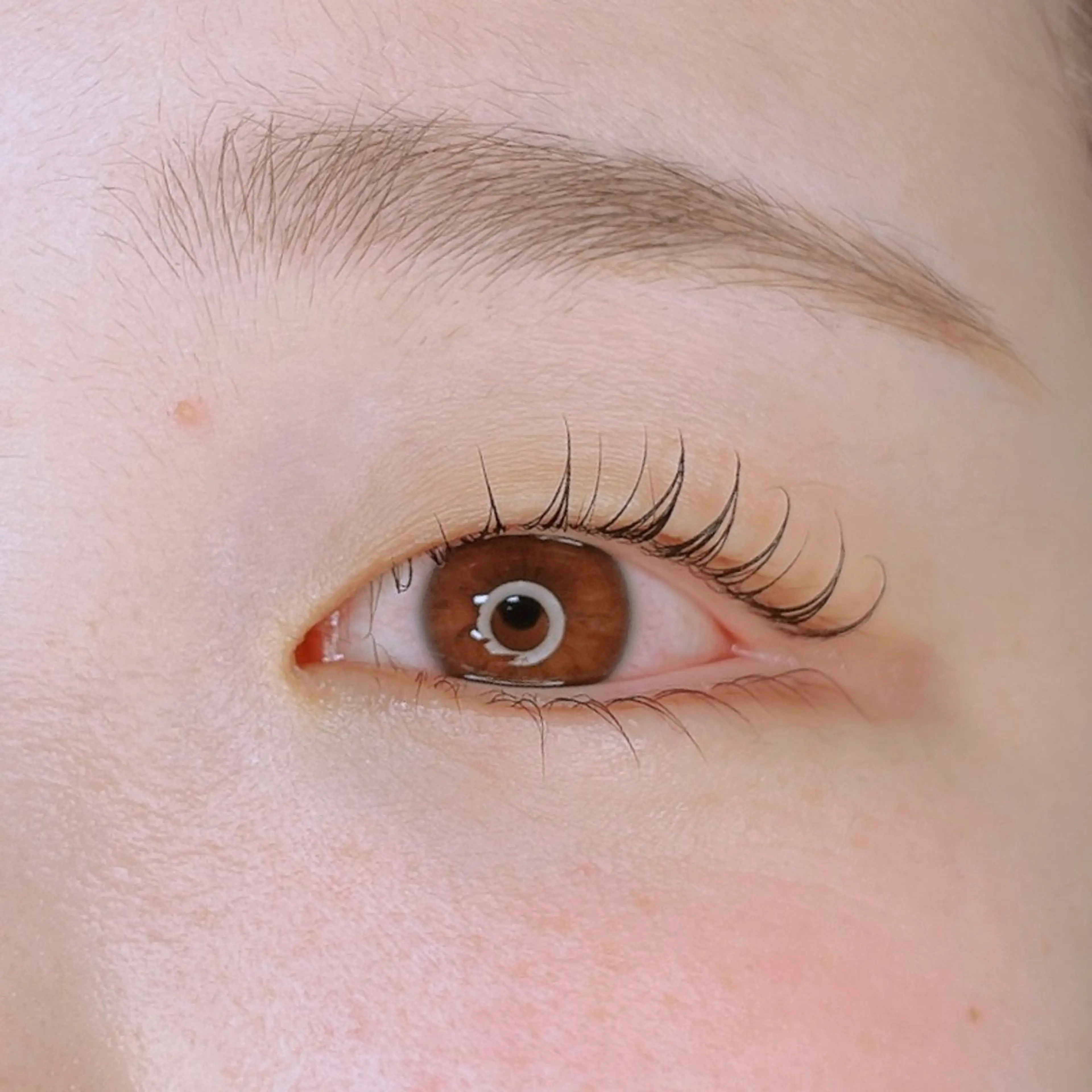 目の縦幅が欲しい方！ケラチンラッシュリフト上下13000→9000の写真